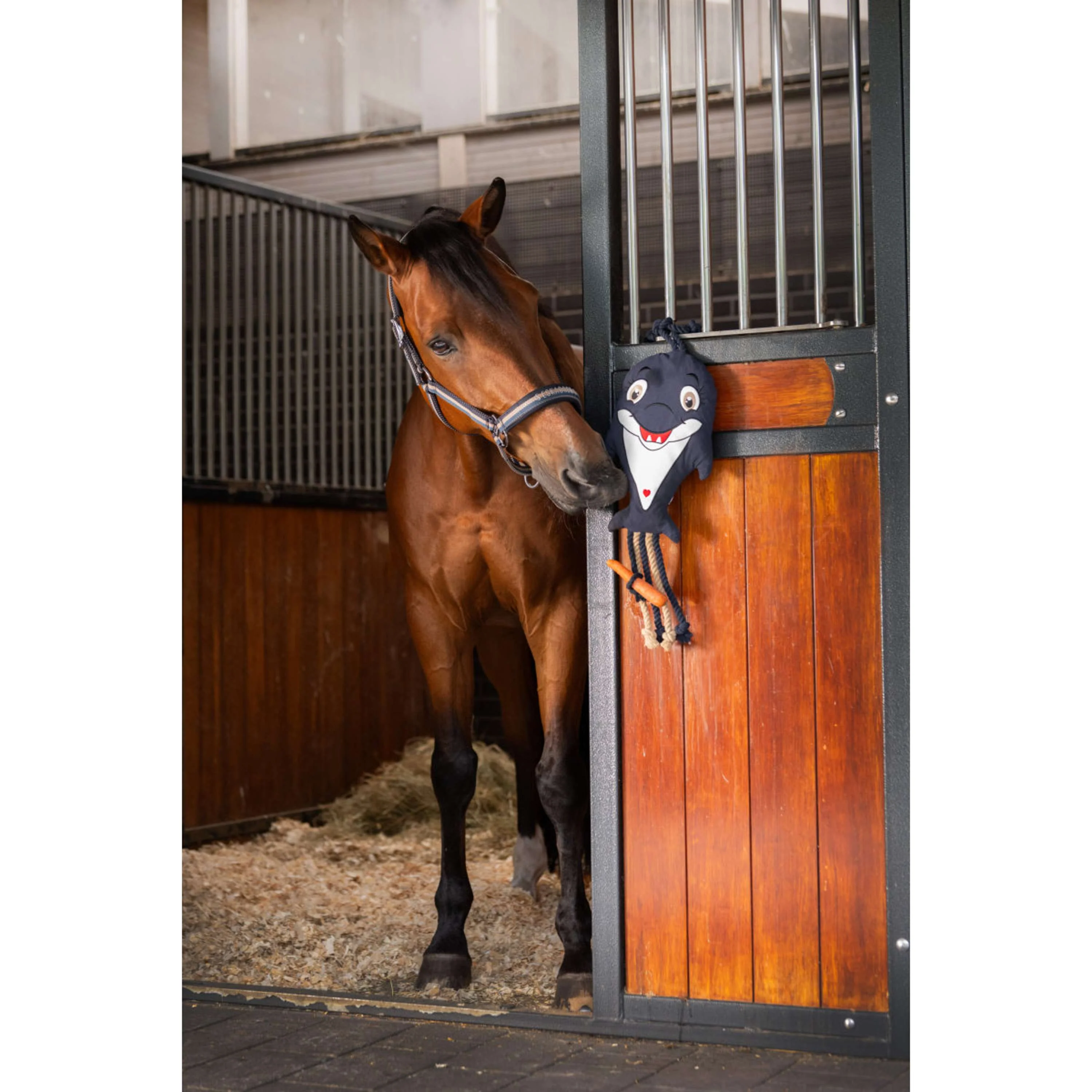 Eskadron Licol Classic Sports Double Pin Ocean/Sierra/Navy - Image 3