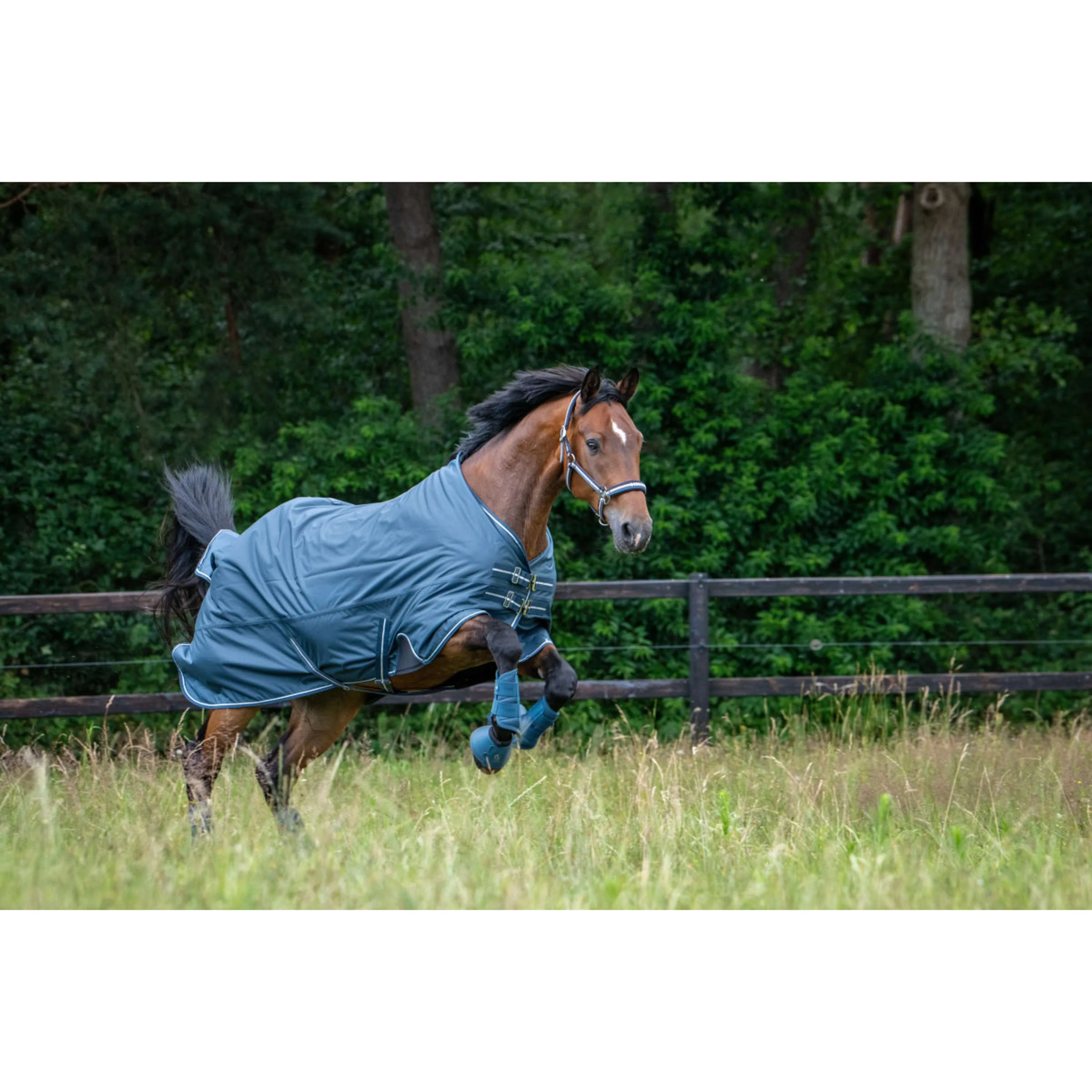 Eskadron Dressage Boots Classic Sports Mesh Ocean - Image 4