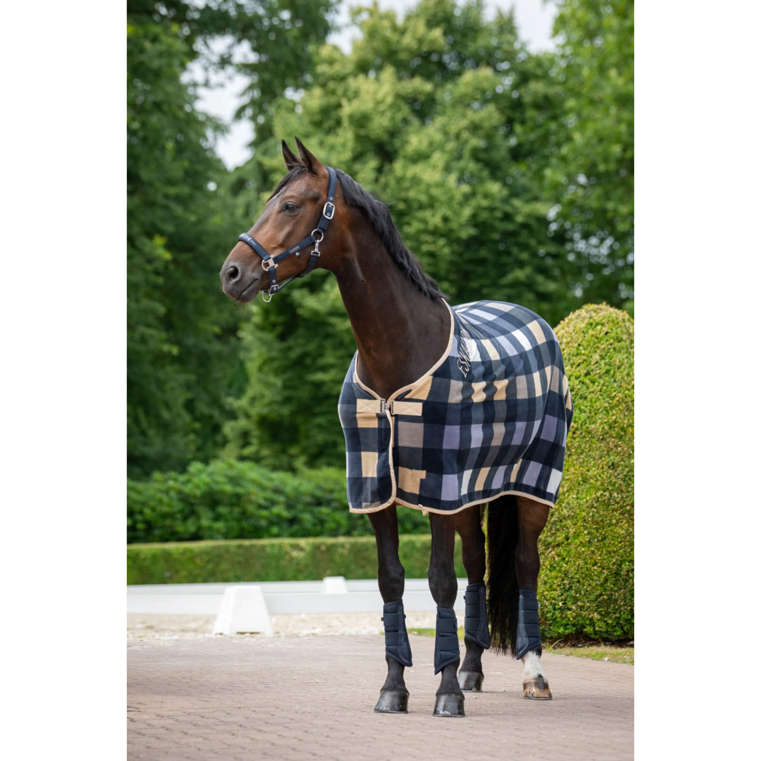 Eskadron Dressage Boots Classic Sports Mesh Marin - Image 3