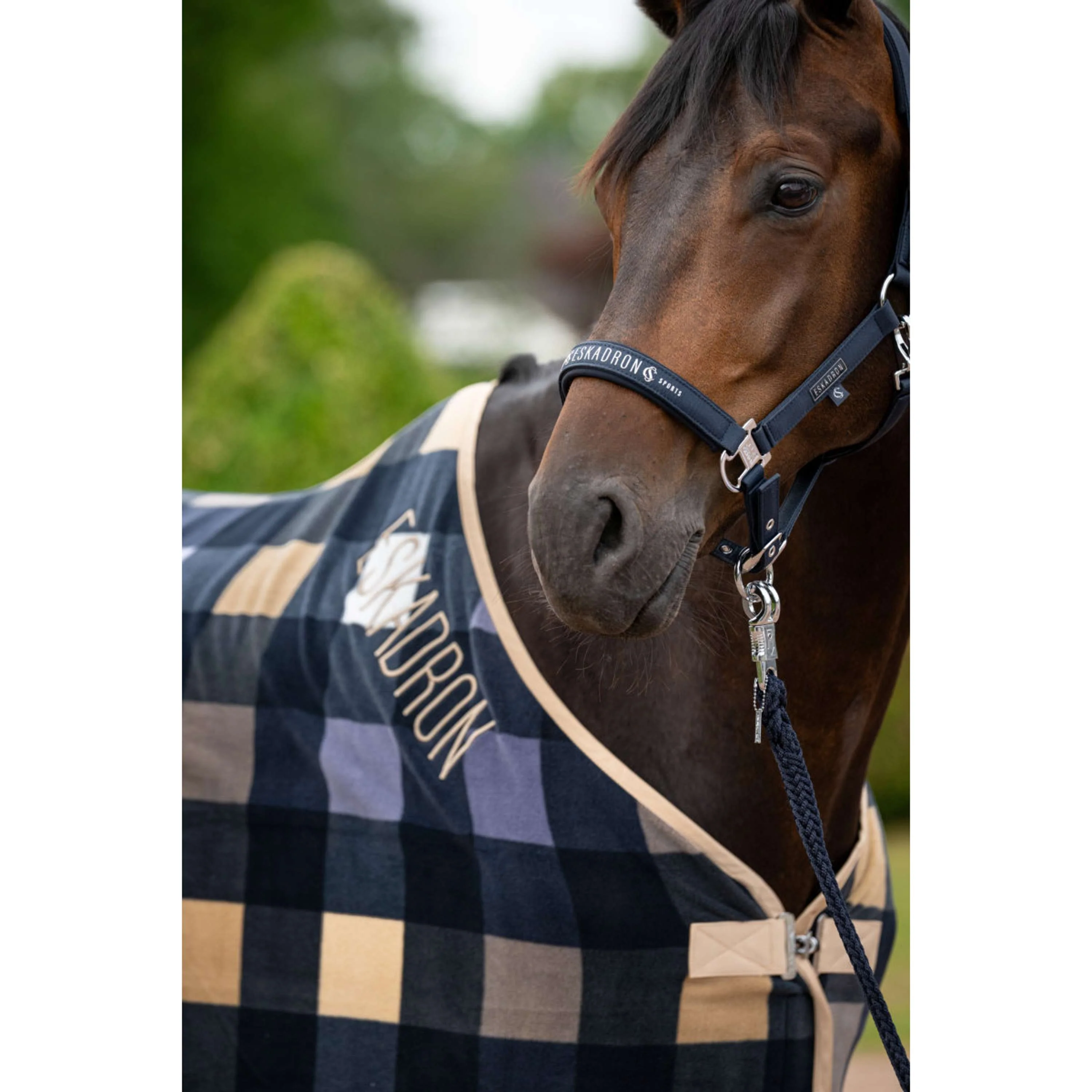 Eskadron Licol Classic Sports Sparkle Marin - Image 3