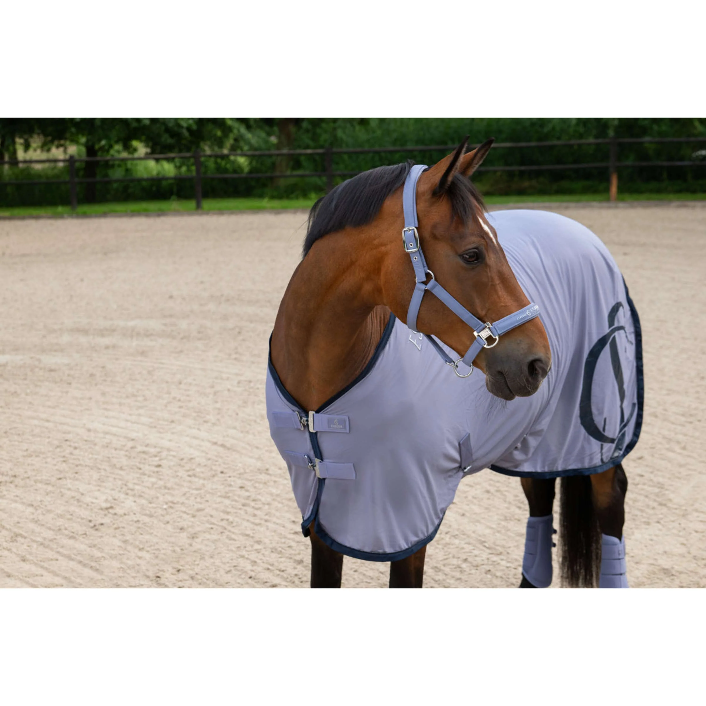 Eskadron Licol Classic Sports Sparkle Orchid - Image 2