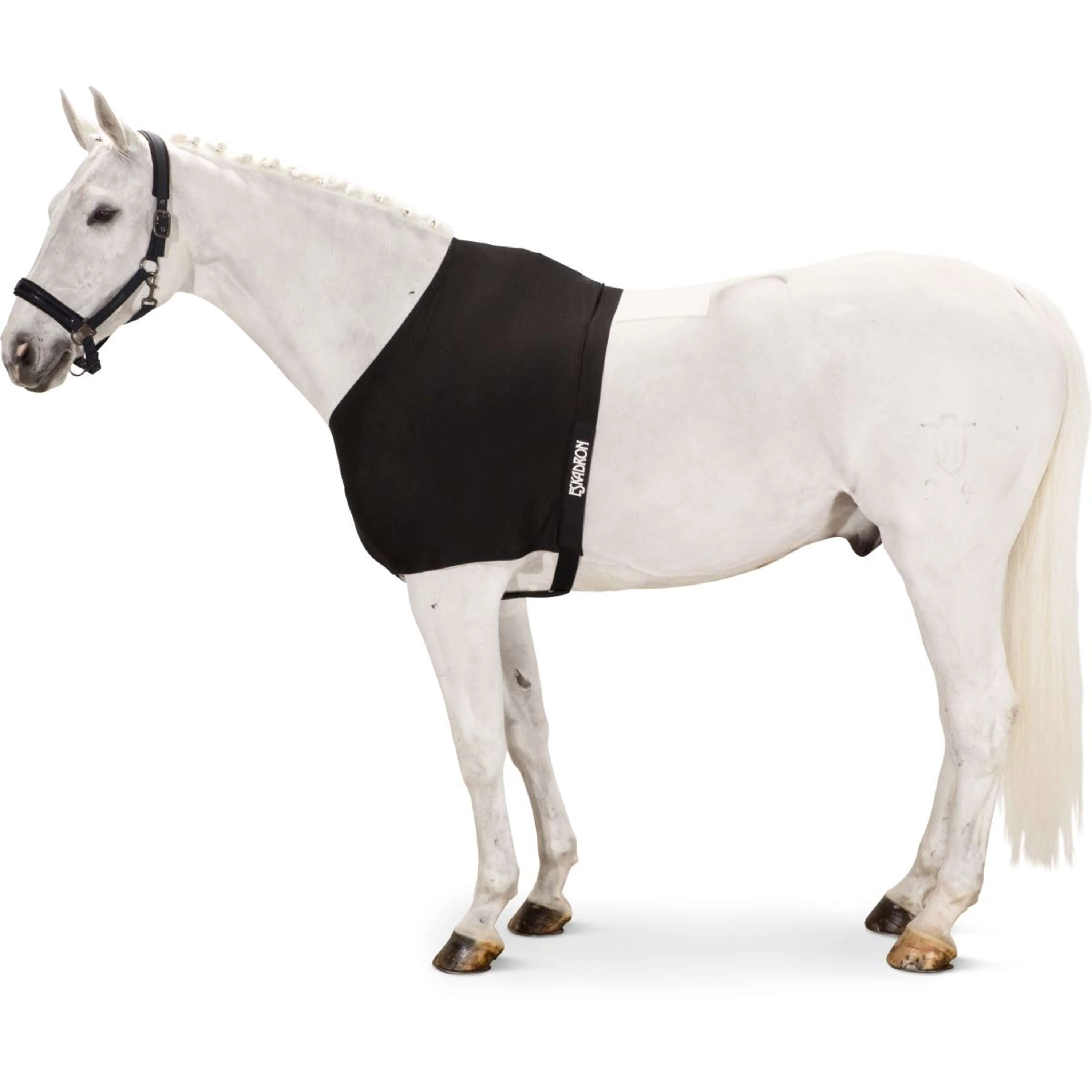 Eskadron Protection de Poitrail DynAirMesh Noir - Image 4