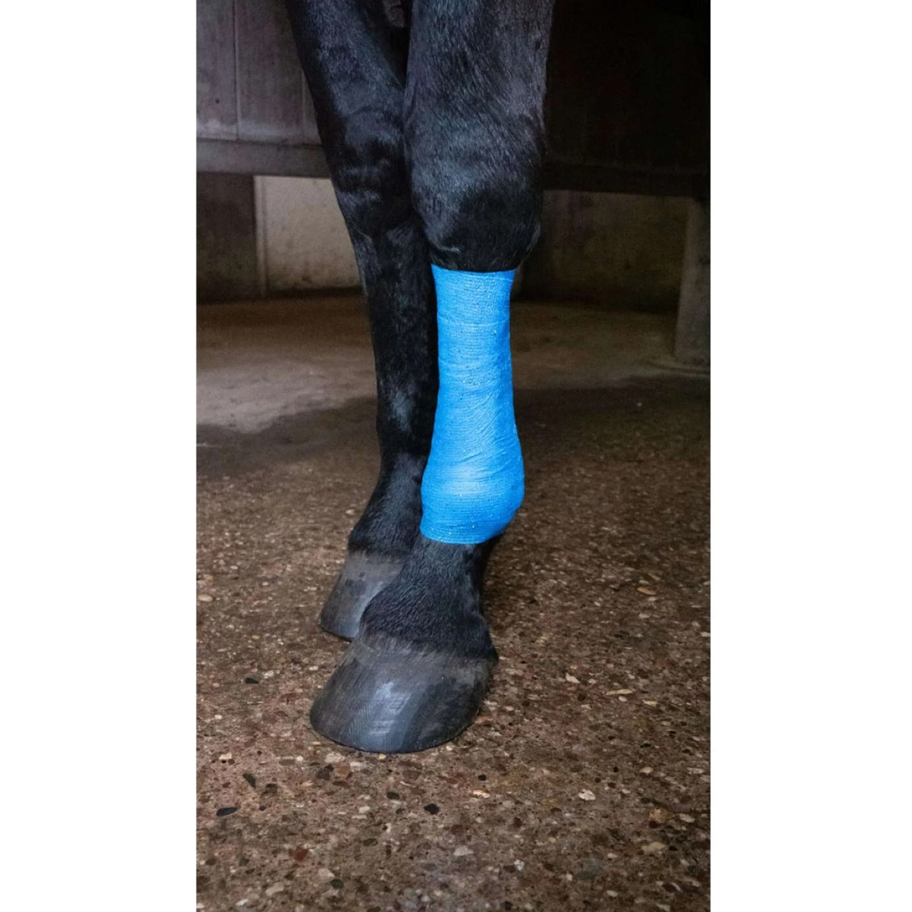 Excellent Bandage Animal Profi Glitter Bleu - Image 4