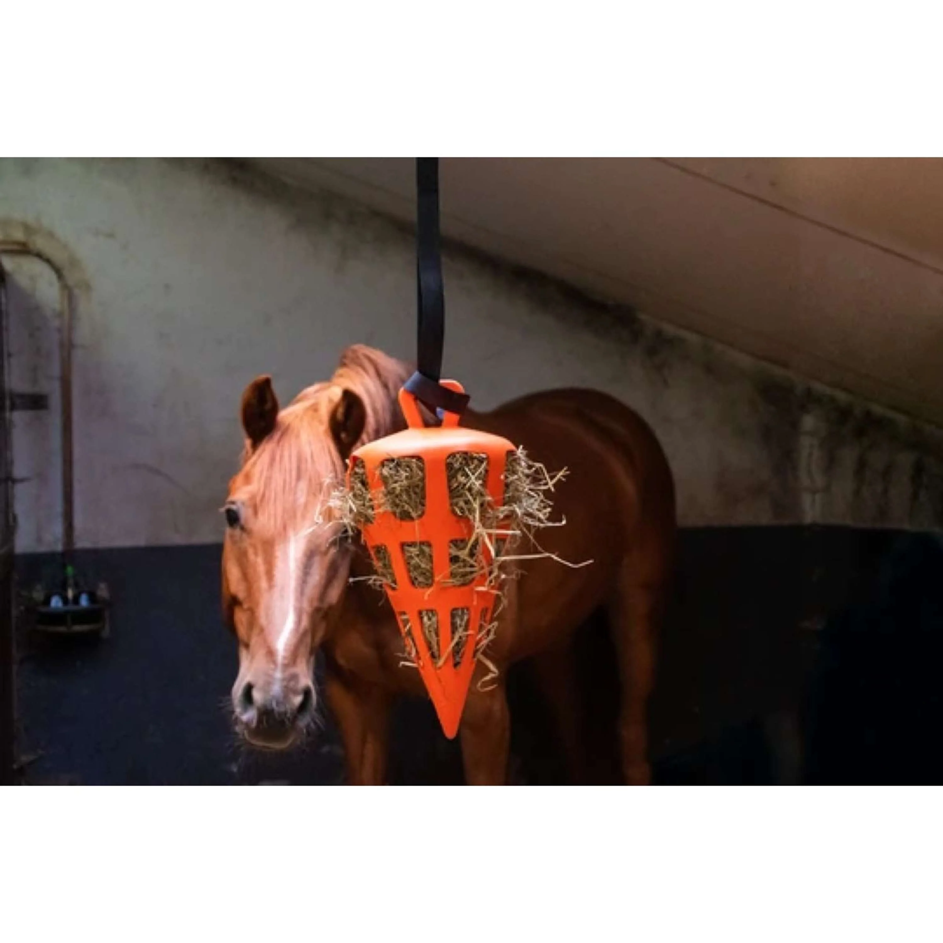 Excellent Filet Anti-Glouton Fun and Flex Carotte Orange - Image 3