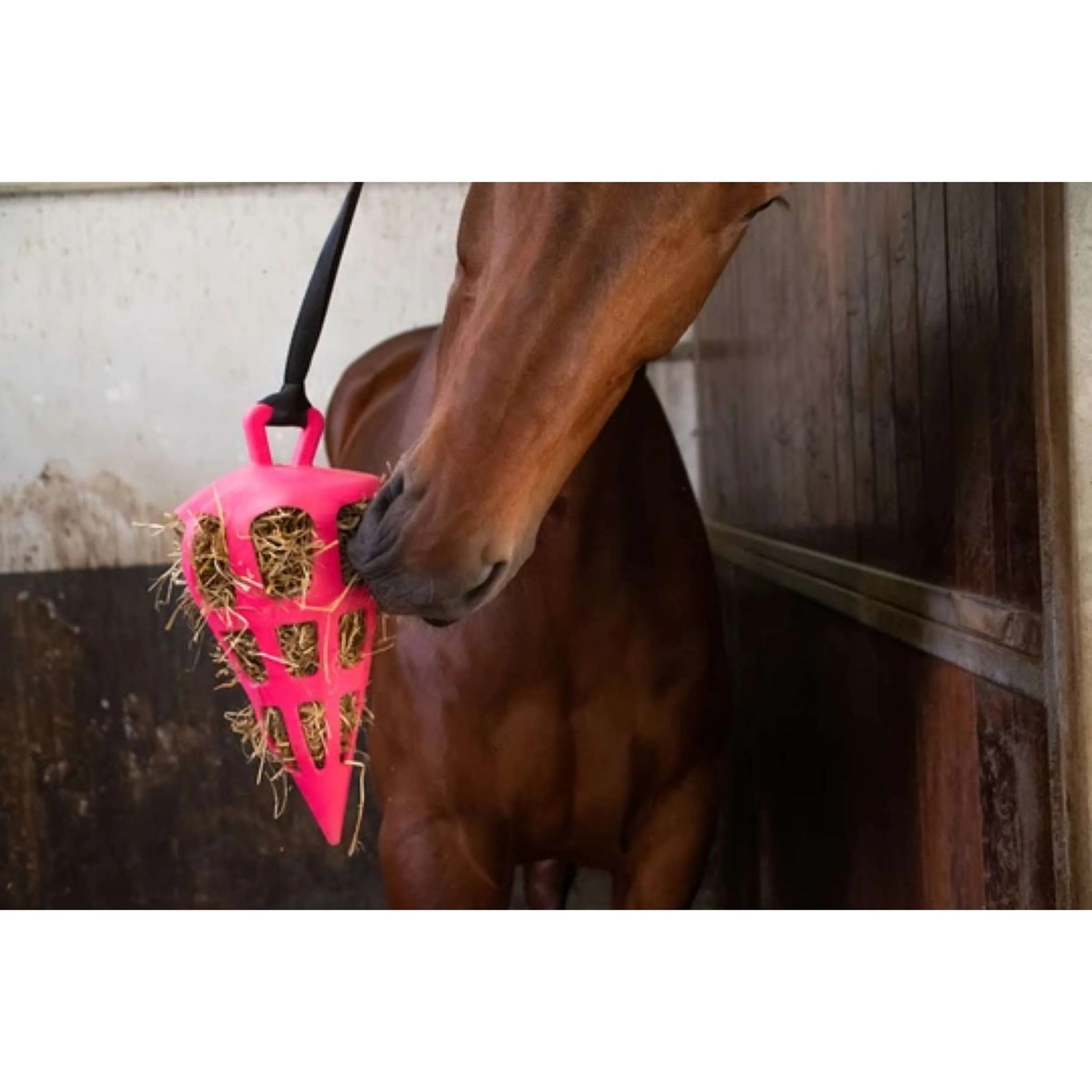 Excellent Filet Anti-Glouton Fun and Flex Carotte Rose - Image 2
