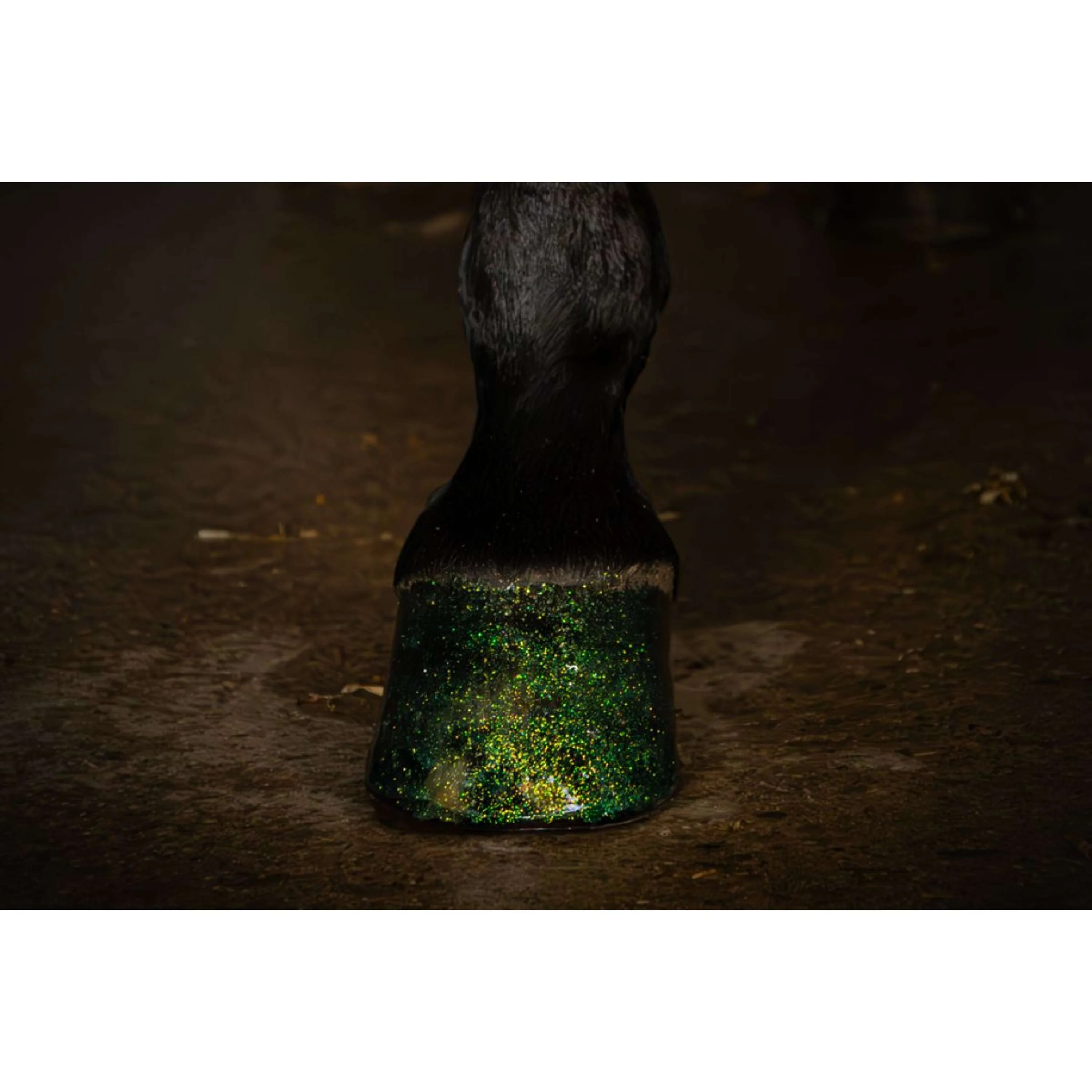 Excellent Hoof Polish Hi Gloss Glitter Turquoise - Image 2