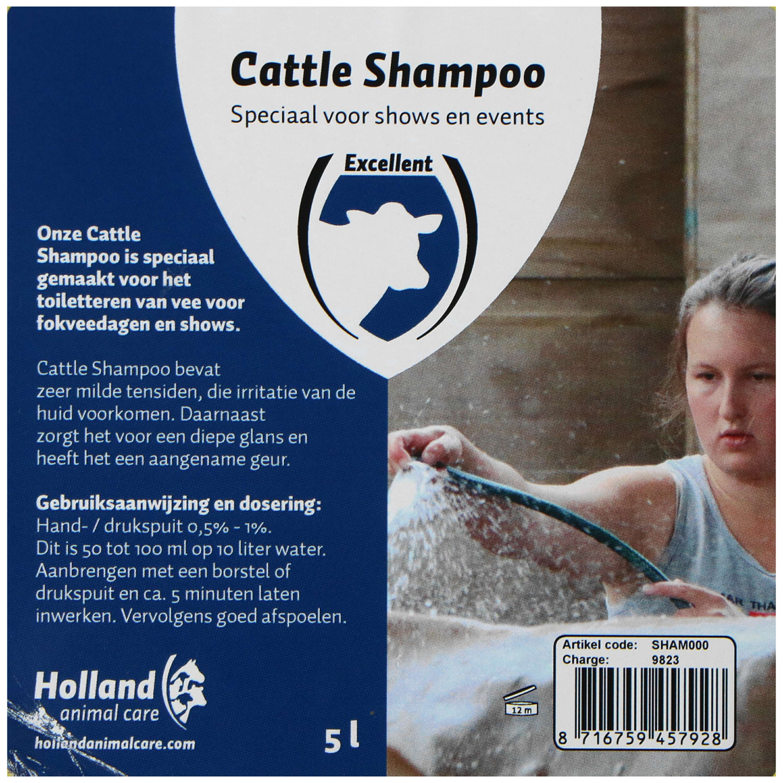 Excellent Shampooing Cattle - Image 2