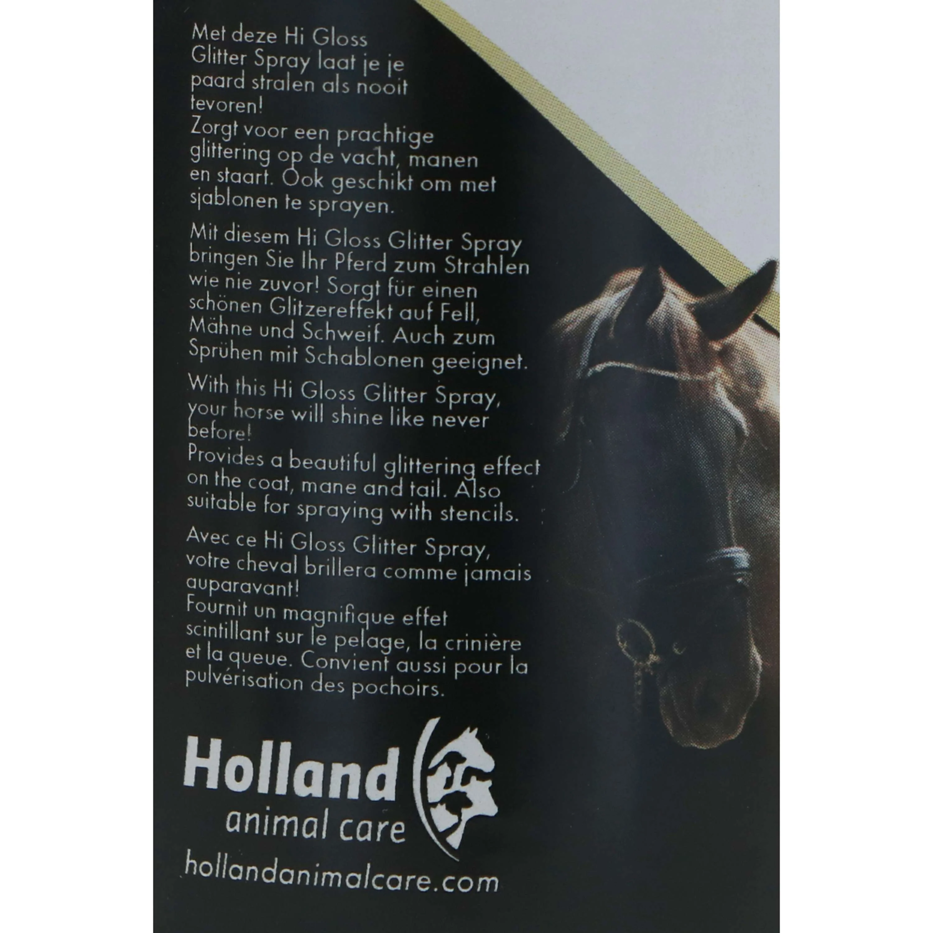 Excellent Spray Scintillant Hi Gloss Argent - Image 2