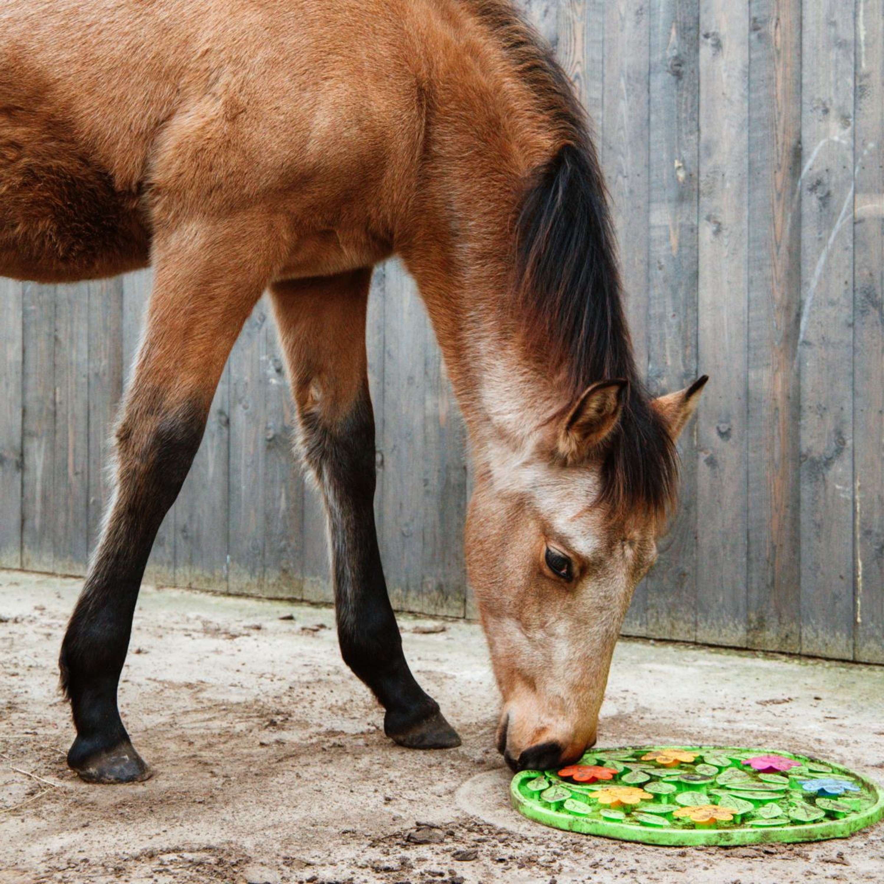 Excellent Tapis de Fouille Horse Flower Power - Image 2