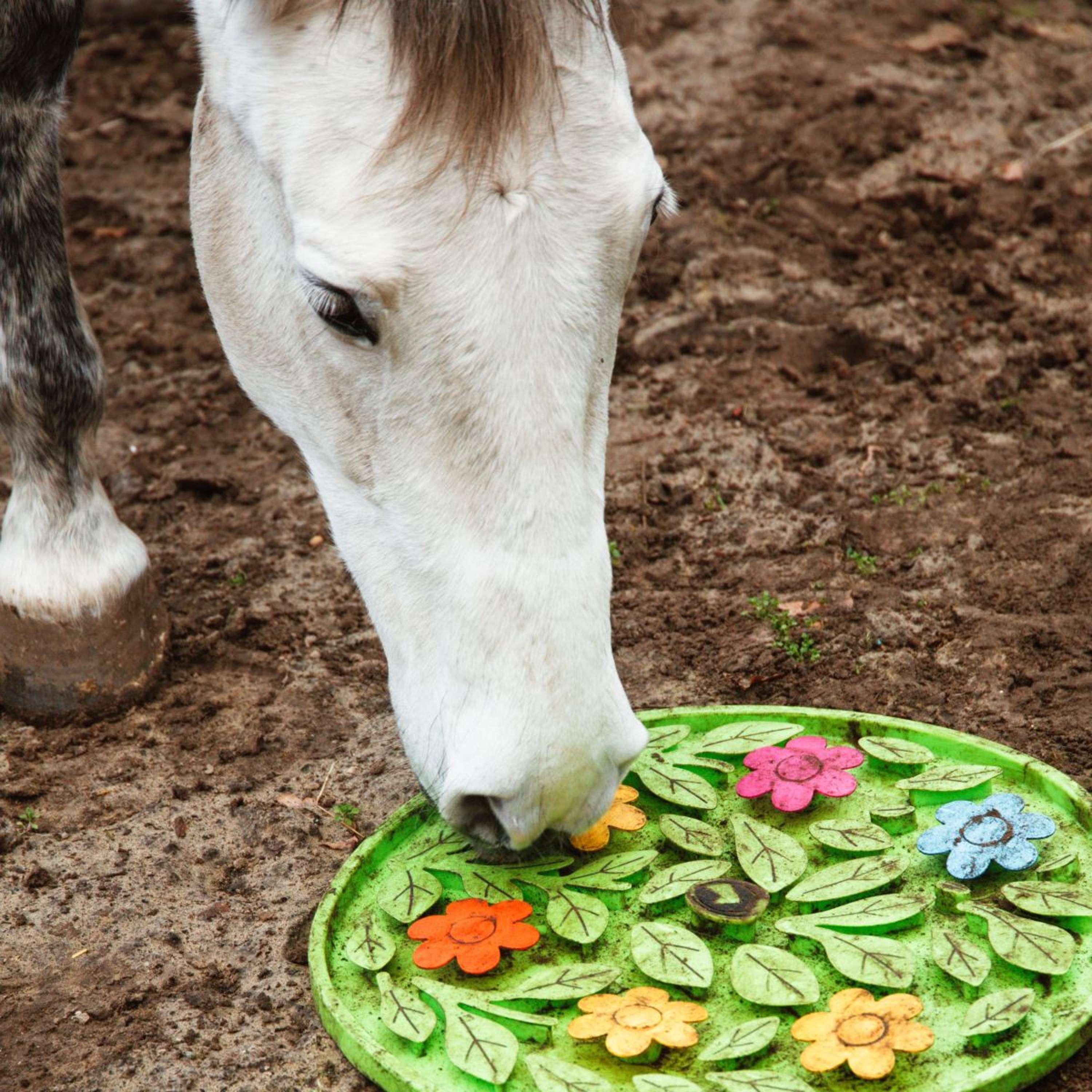 Excellent Tapis de Fouille Horse Flower Power - Image 4