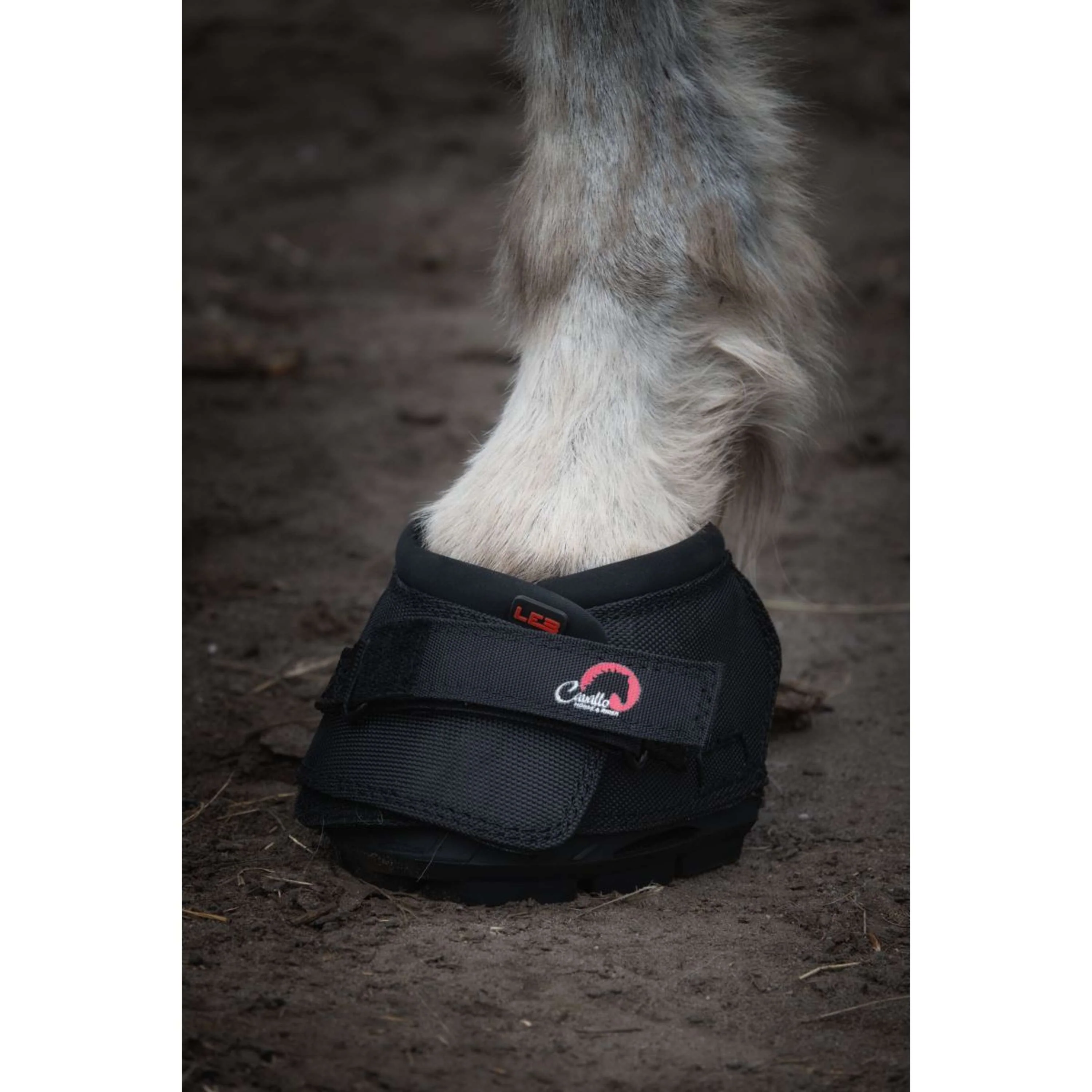 F.R.A. Cavallo Donkey/Long Ear Boot Noir - Image 2