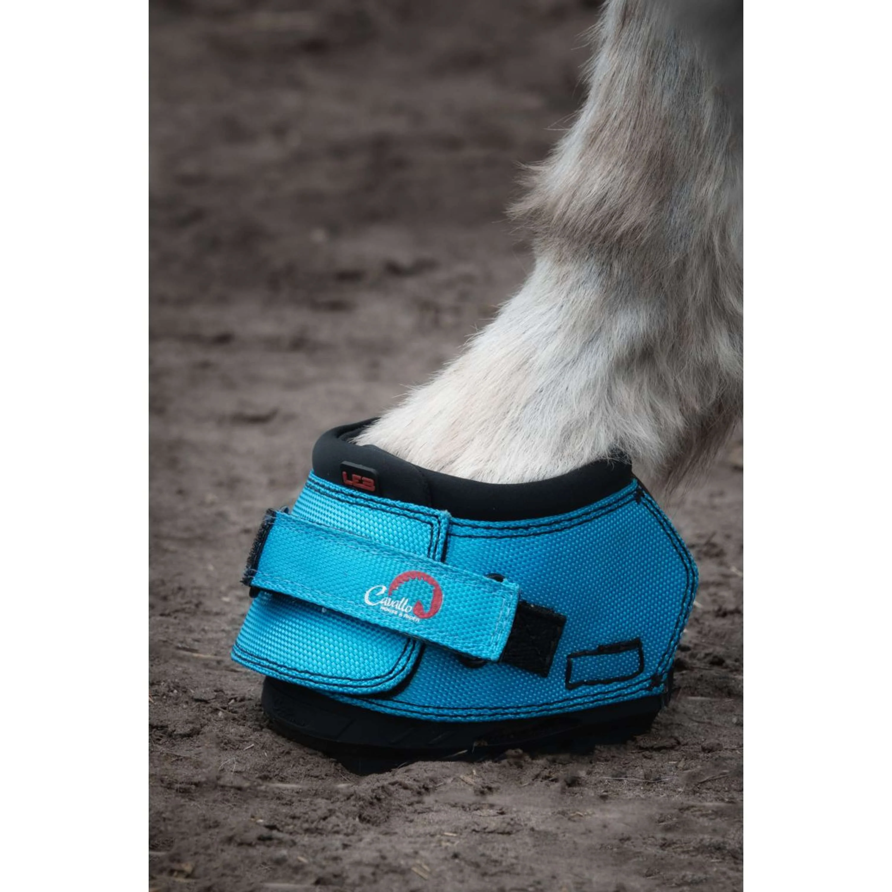 F.R.A. Cavallo Donkey/Long Ear Boot Turquoise - Image 2