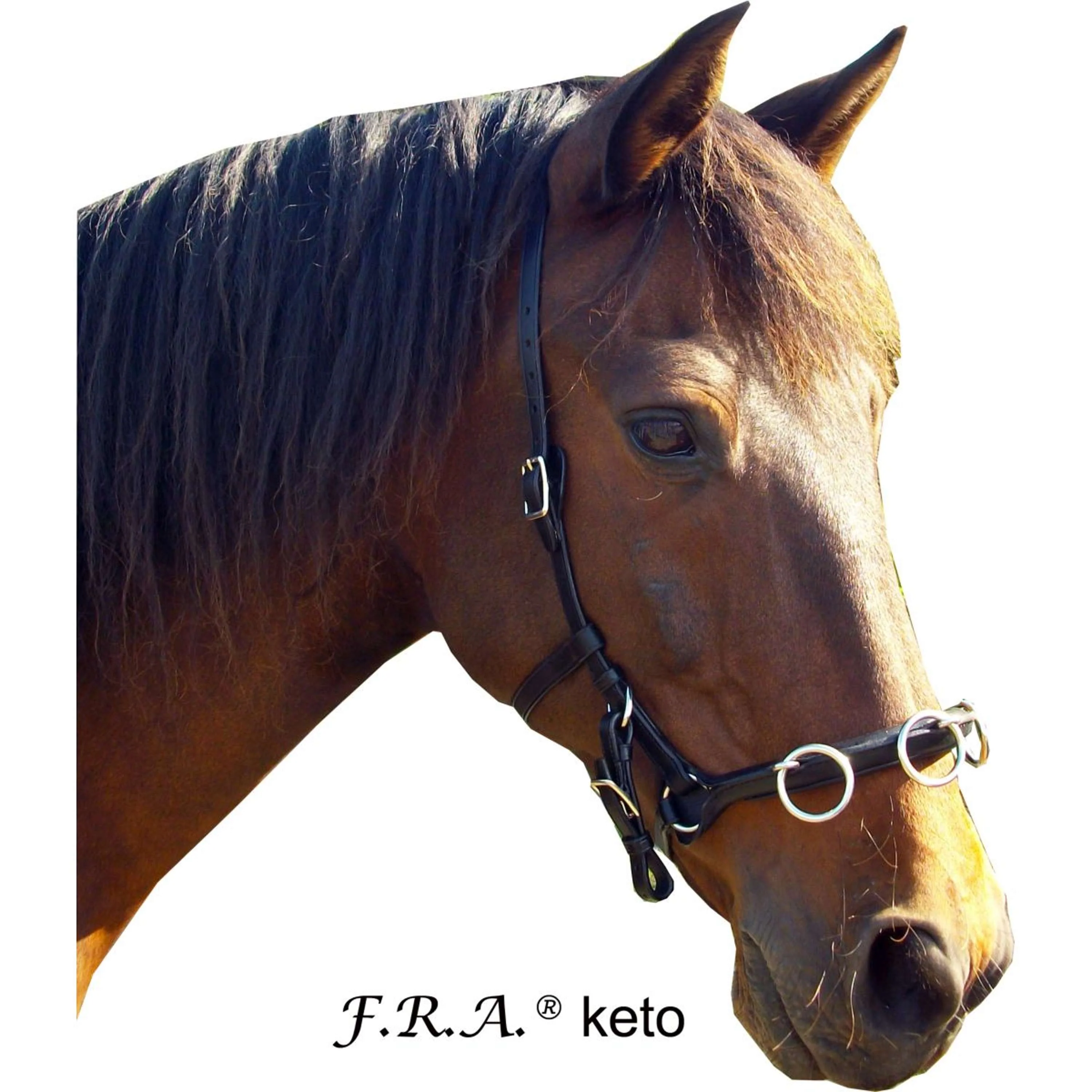 F.R.A. Caveçon Keto Cuir Noir - Image 2
