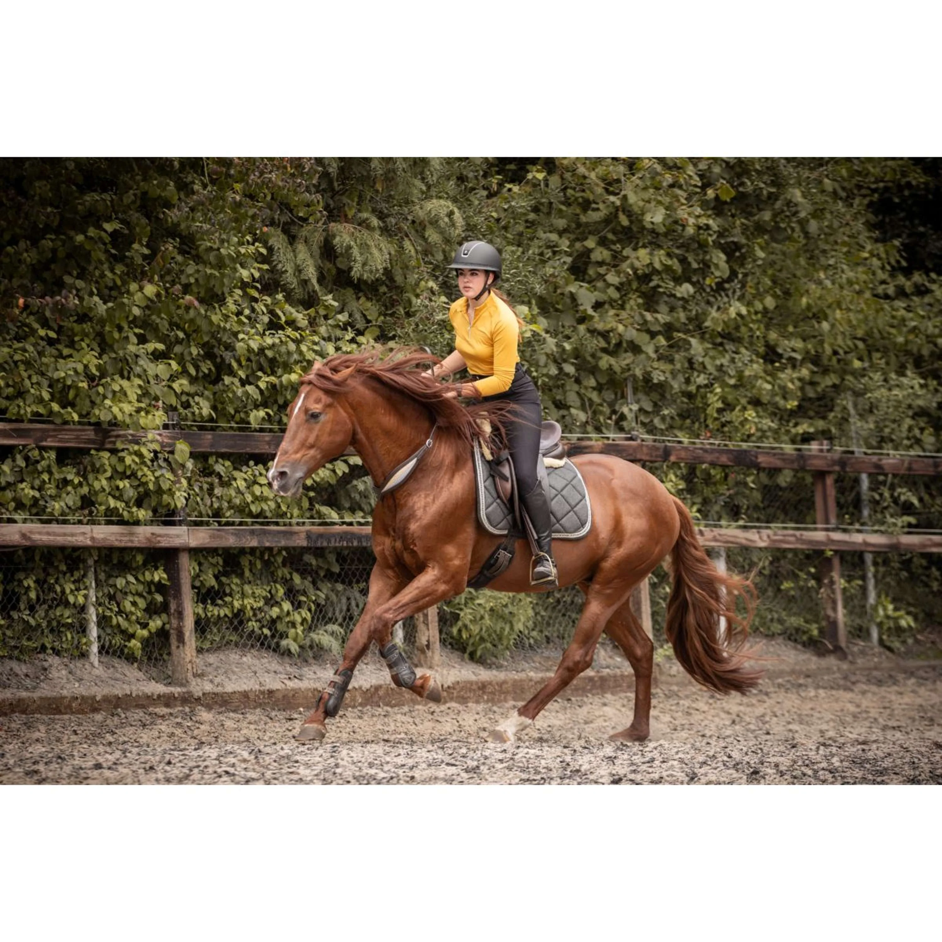 F.R.A. Rêne D'équilibre Whisper Marron - Image 10