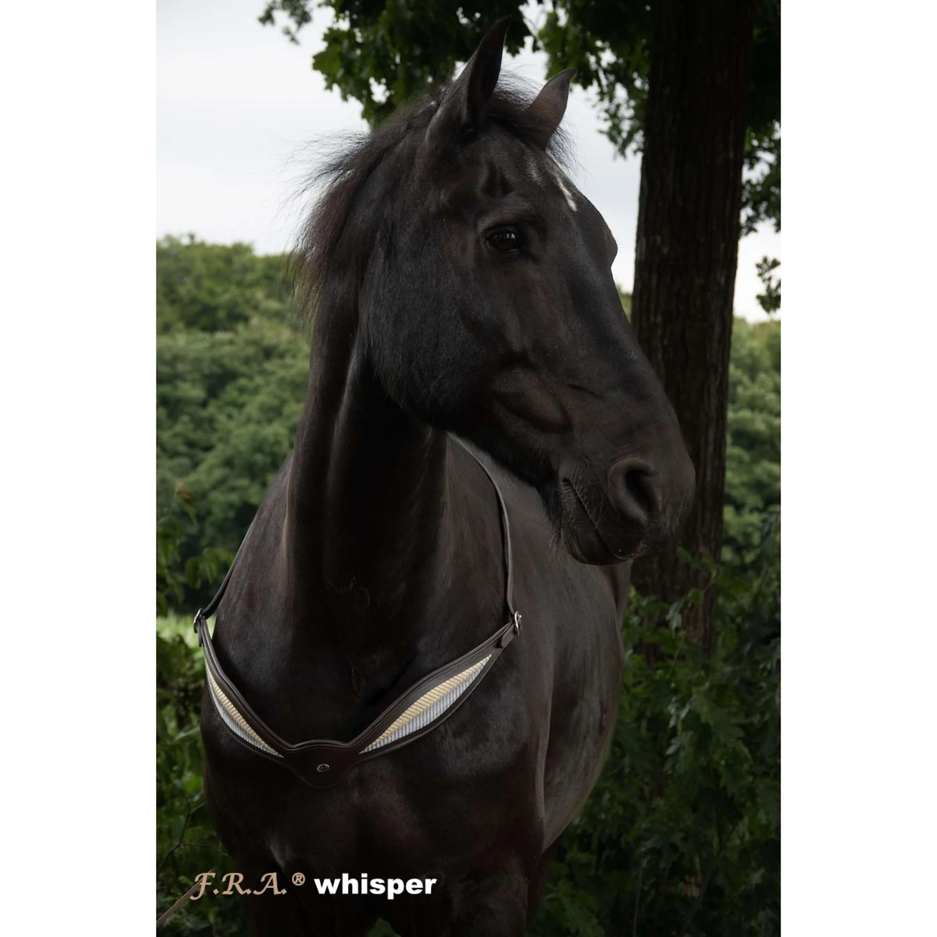 F.R.A. Rêne D'équilibre Whisper Marron - Image 6