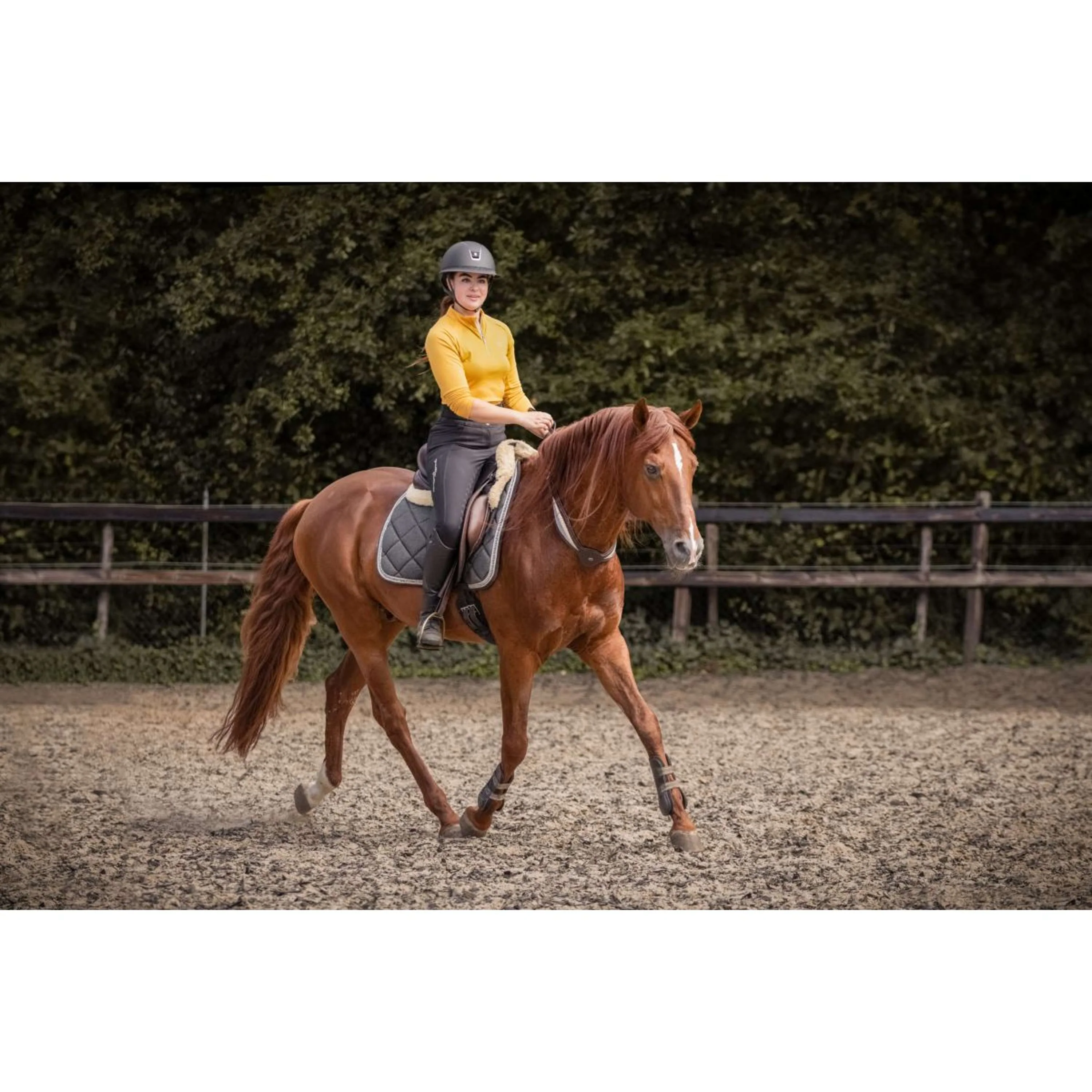F.R.A. Rêne D'équilibre Whisper Marron - Image 9