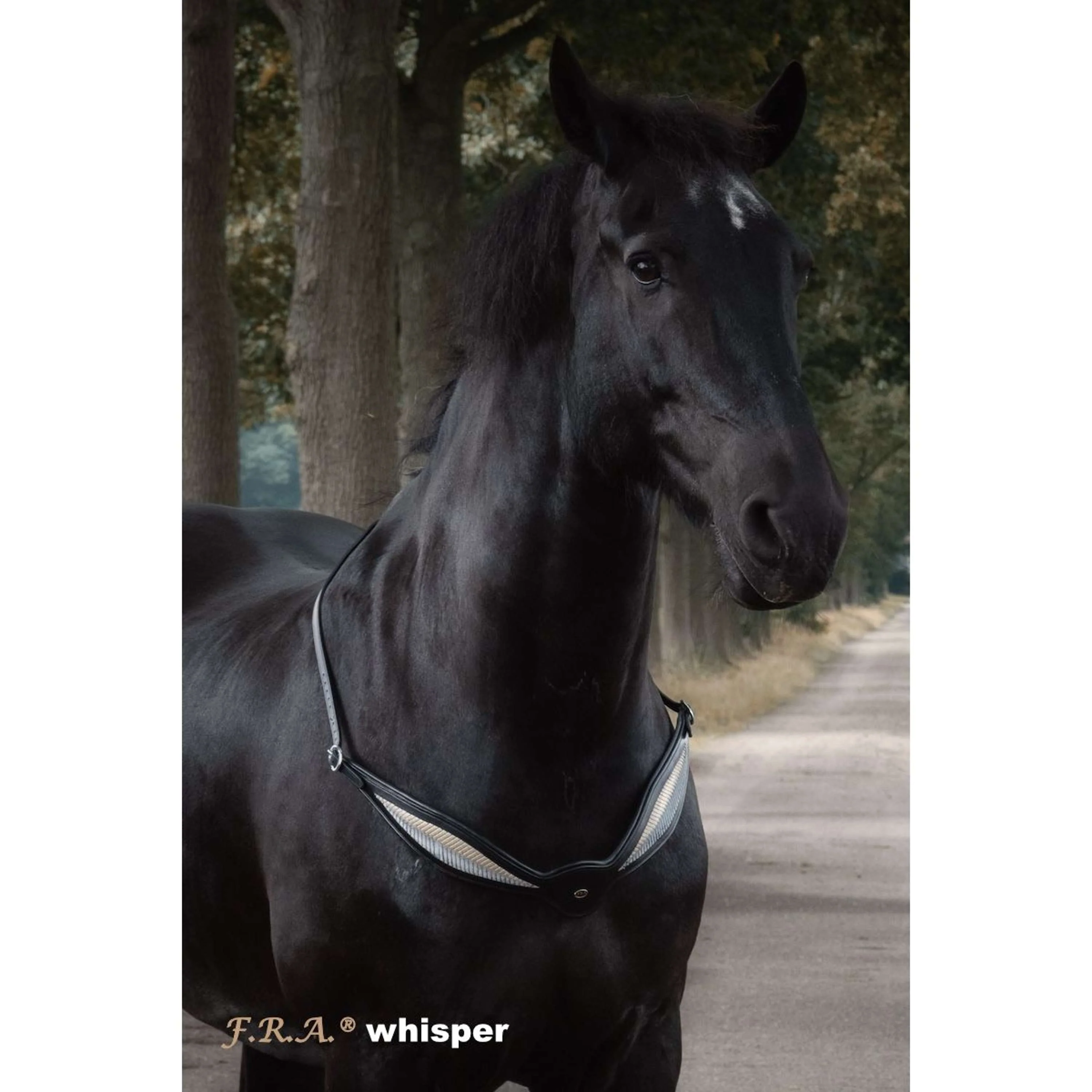 F.R.A. Rêne D'équilibre Whisper Noir - Image 8