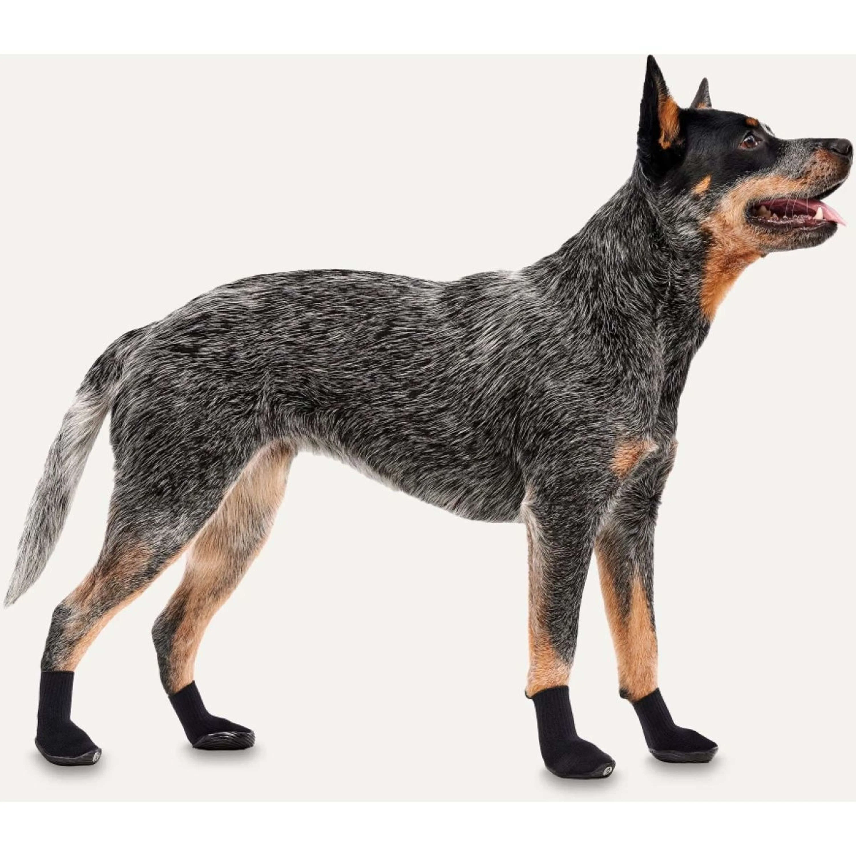 Goo-eez Regular Dog Boots 2-pack Noir - Image 2