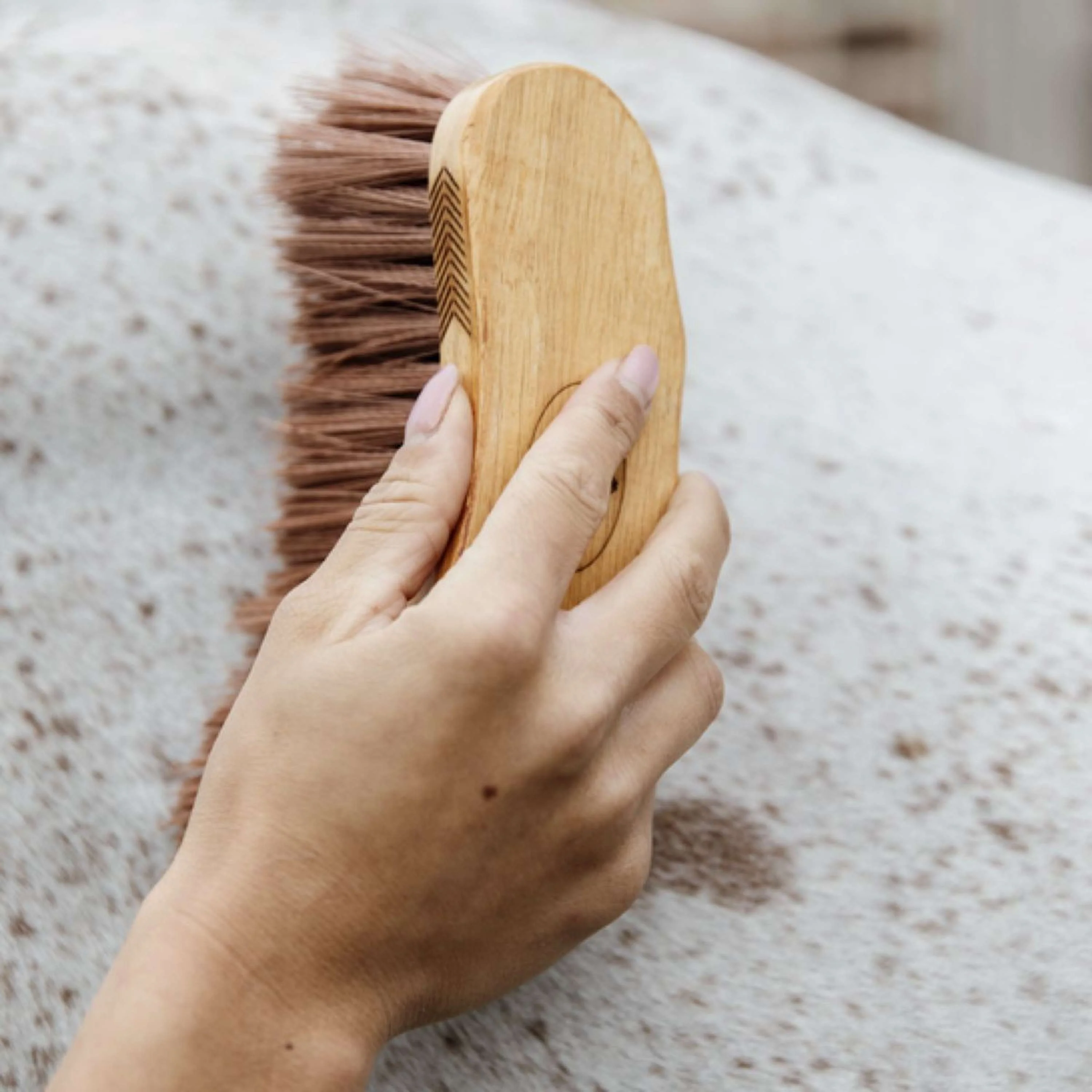 Grooming Deluxe by Kentucky Brosse Middle Marron - Image 2