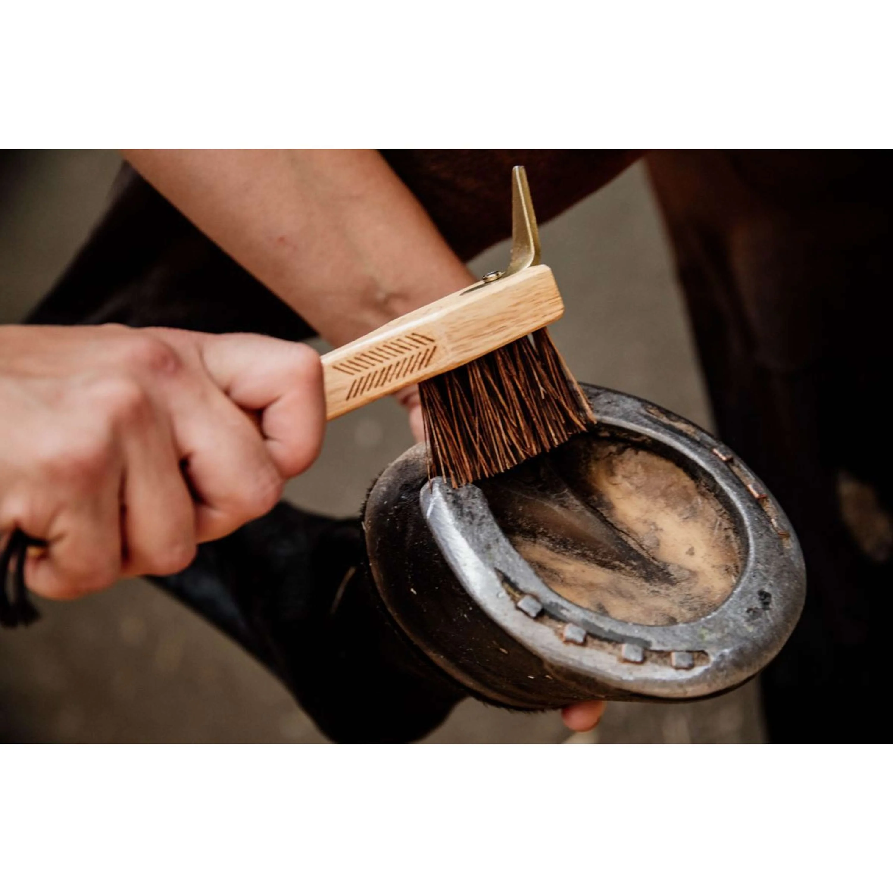 Grooming Deluxe by Kentucky Cure-Pied - Image 4