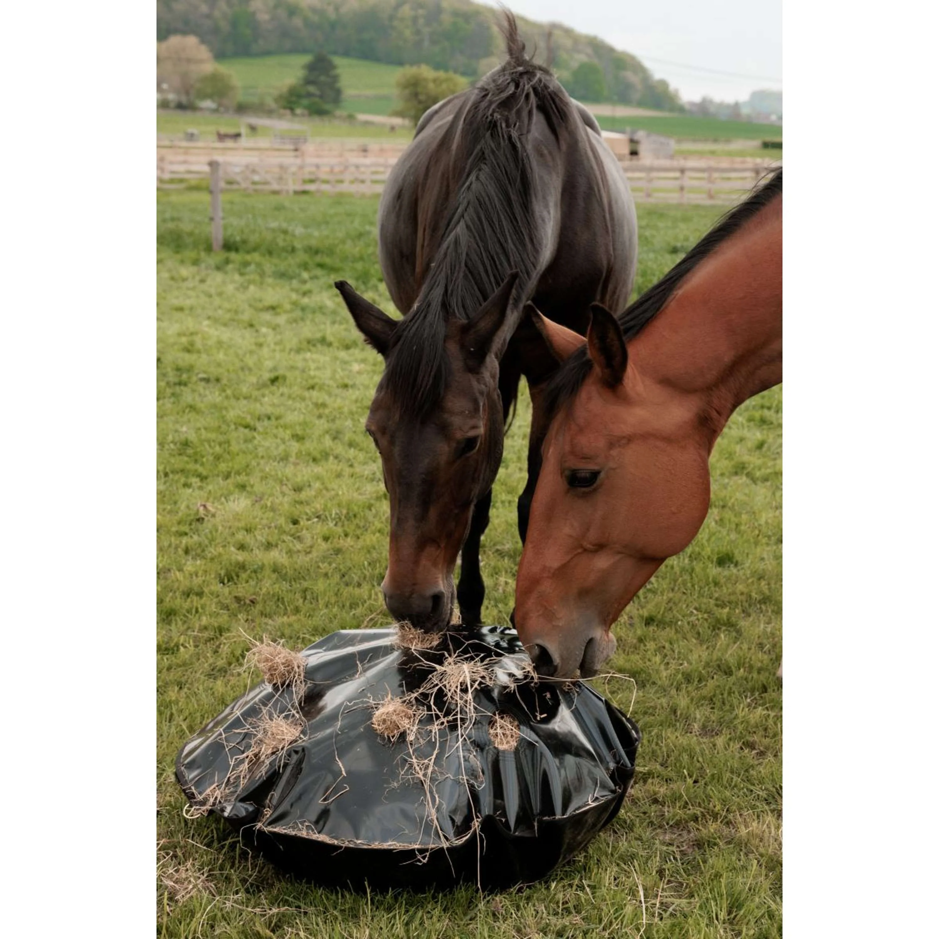Grooming Deluxe by Kentucky Filet Anti-Glouton Play & Haybag Round - Image 2