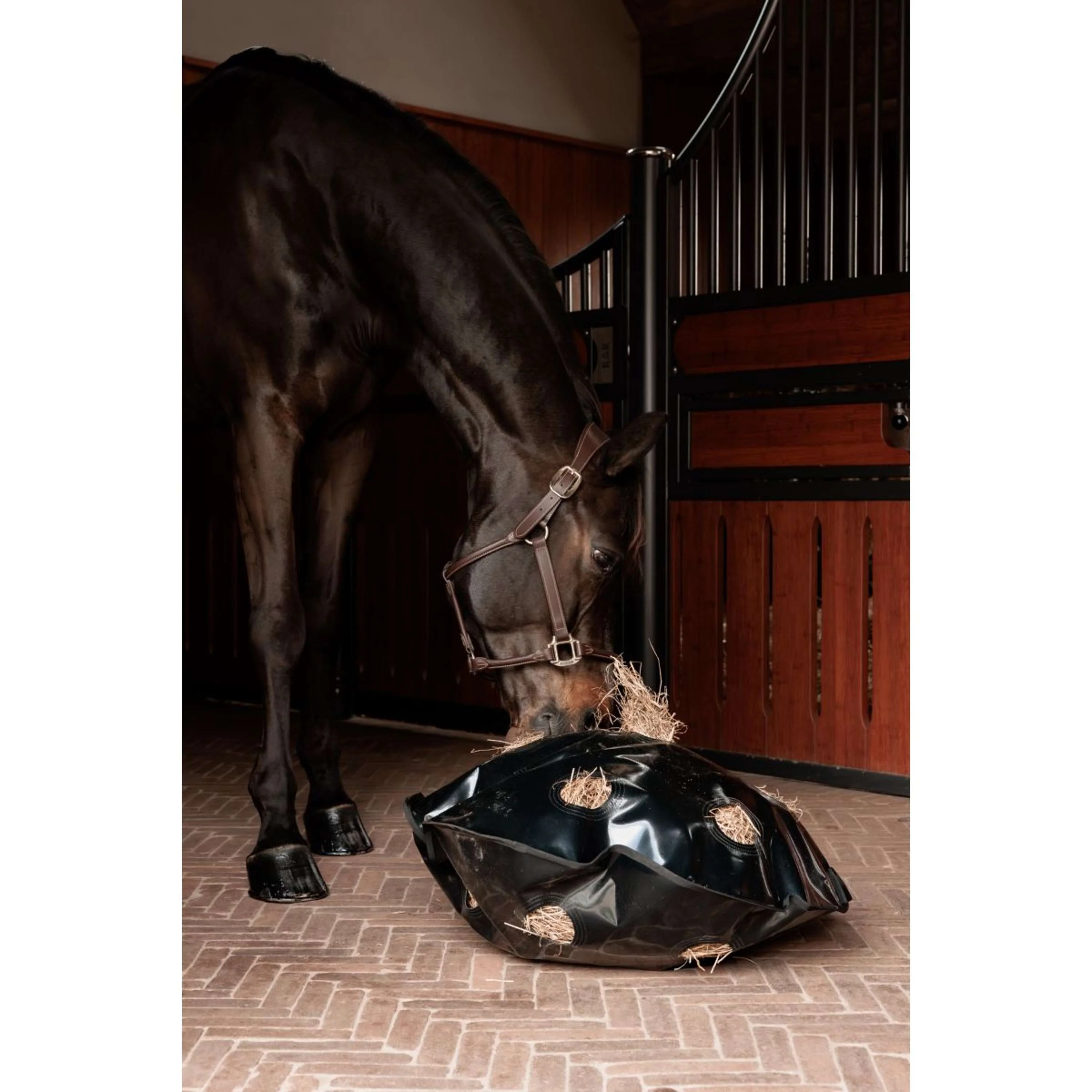 Grooming Deluxe by Kentucky Filet Anti-Glouton Play & Haybag Round - Image 3