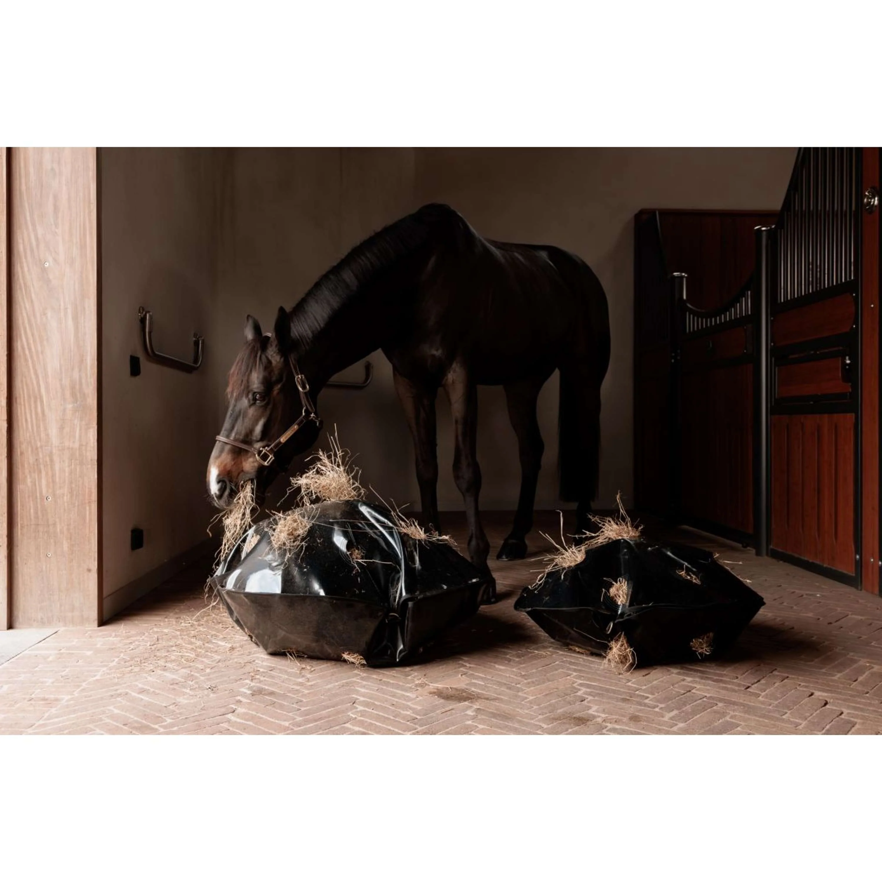 Grooming Deluxe by Kentucky Filet Anti-Glouton Play & Haybag Round - Image 4