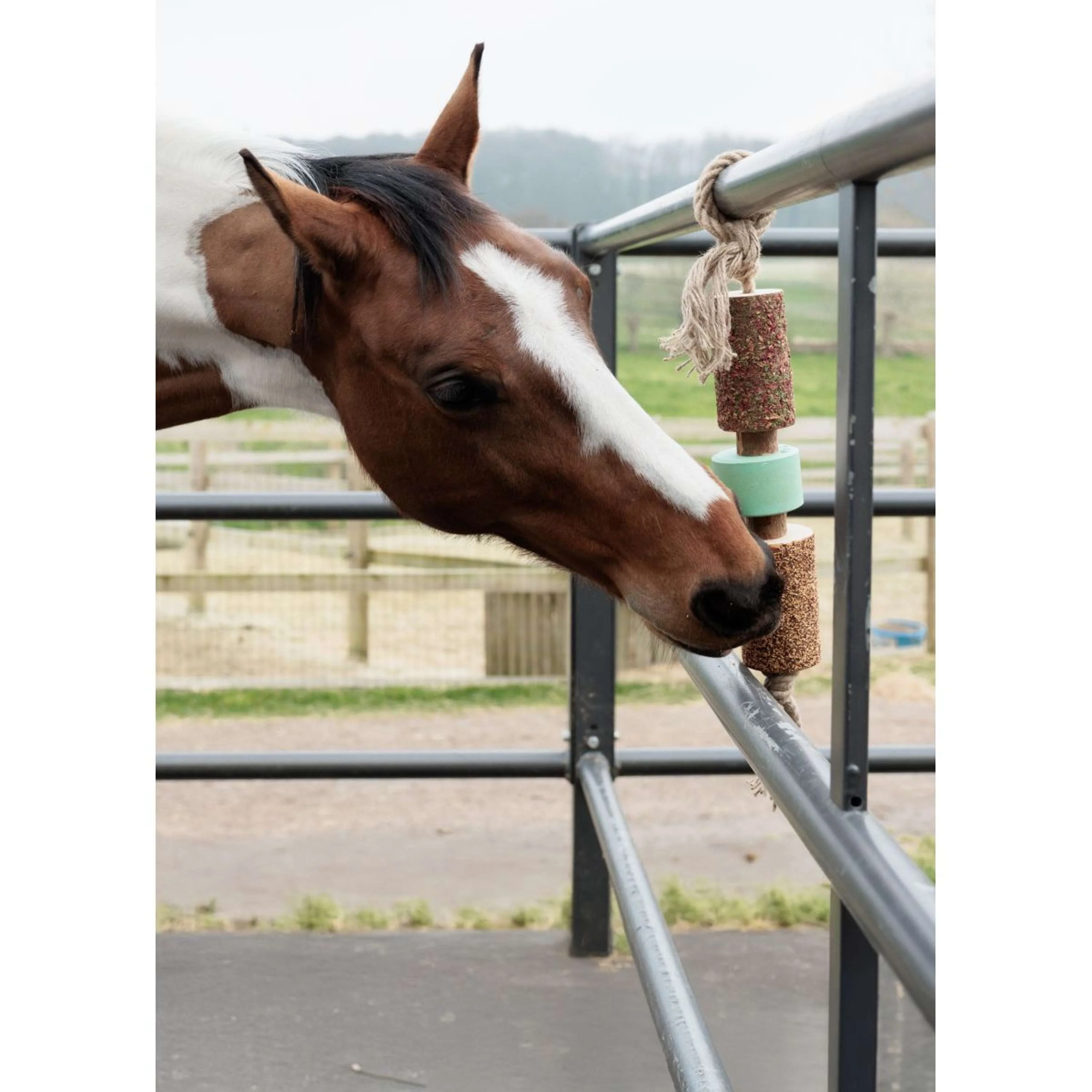 Grooming Deluxe by Kentucky Relax Horse Toy Wooden Airways with Salt Lick - Image 2