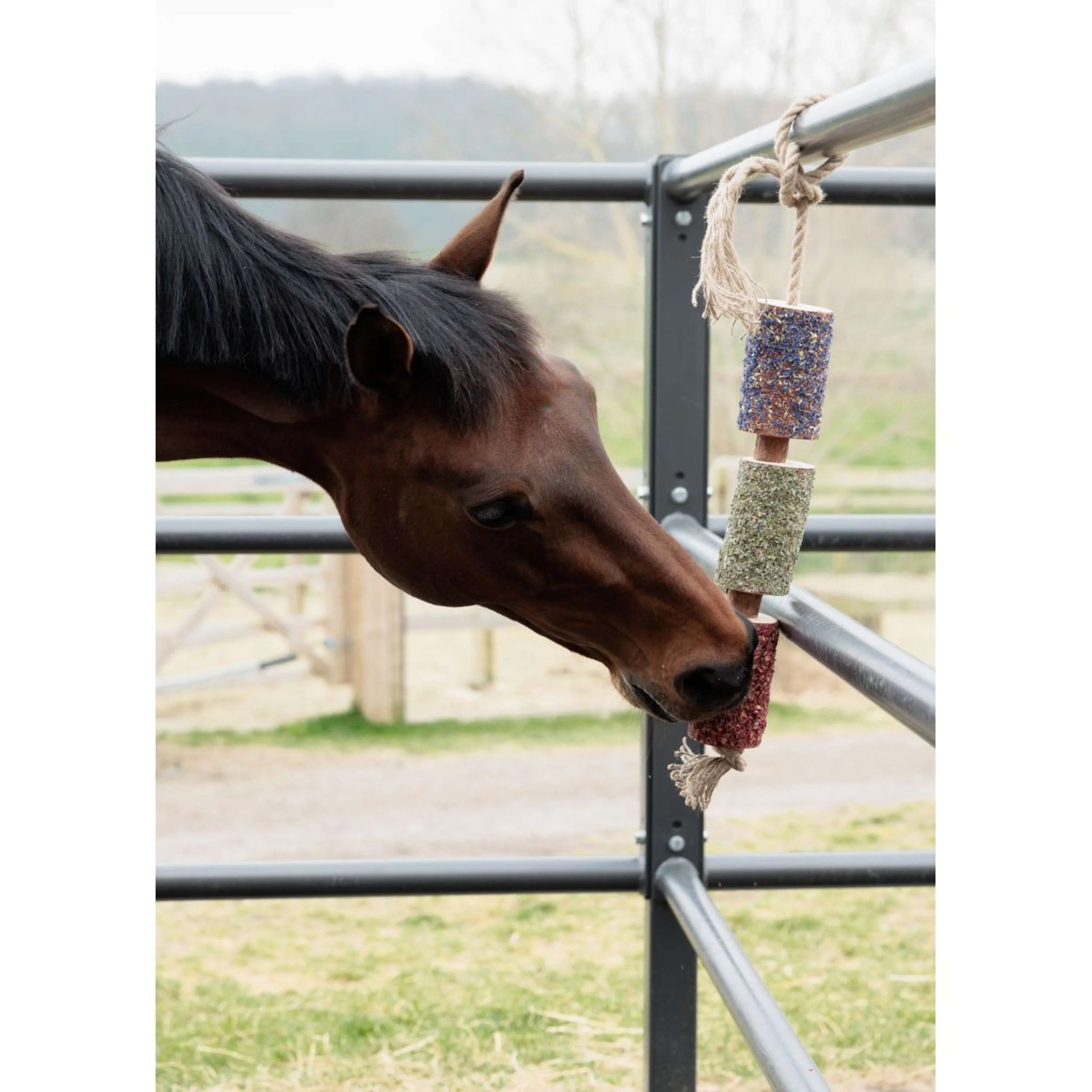 Grooming Deluxe by Kentucky Relax Horse Toy Wooden Freedom - Image 2