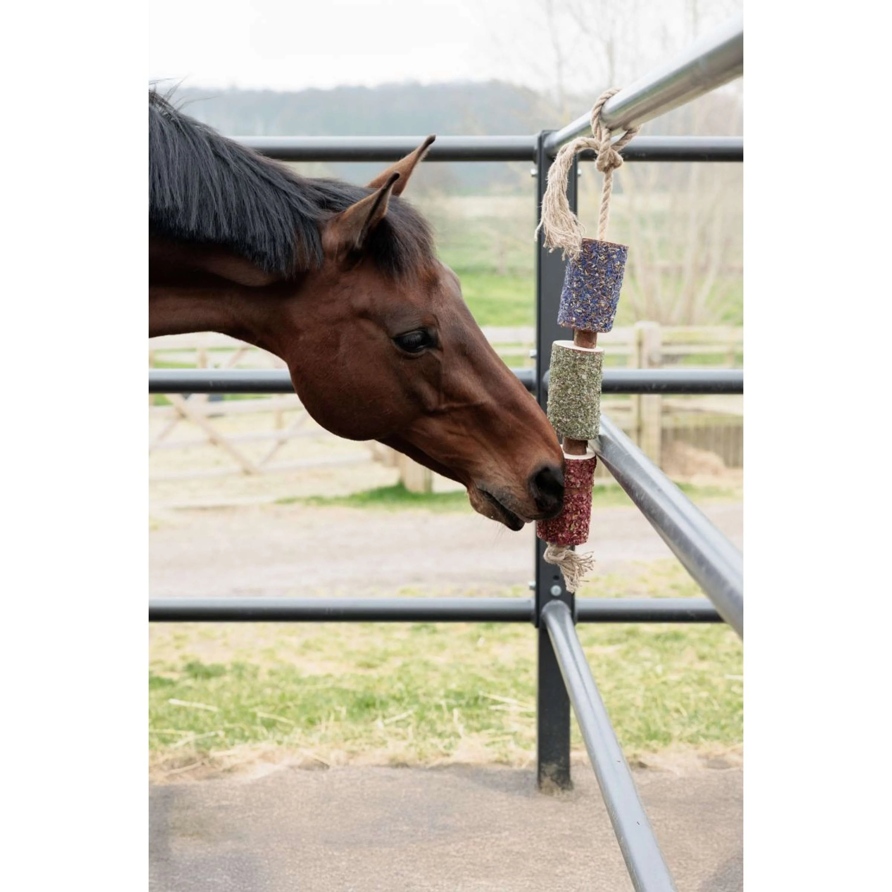 Grooming Deluxe by Kentucky Relax Horse Toy Wooden Freedom - Image 3