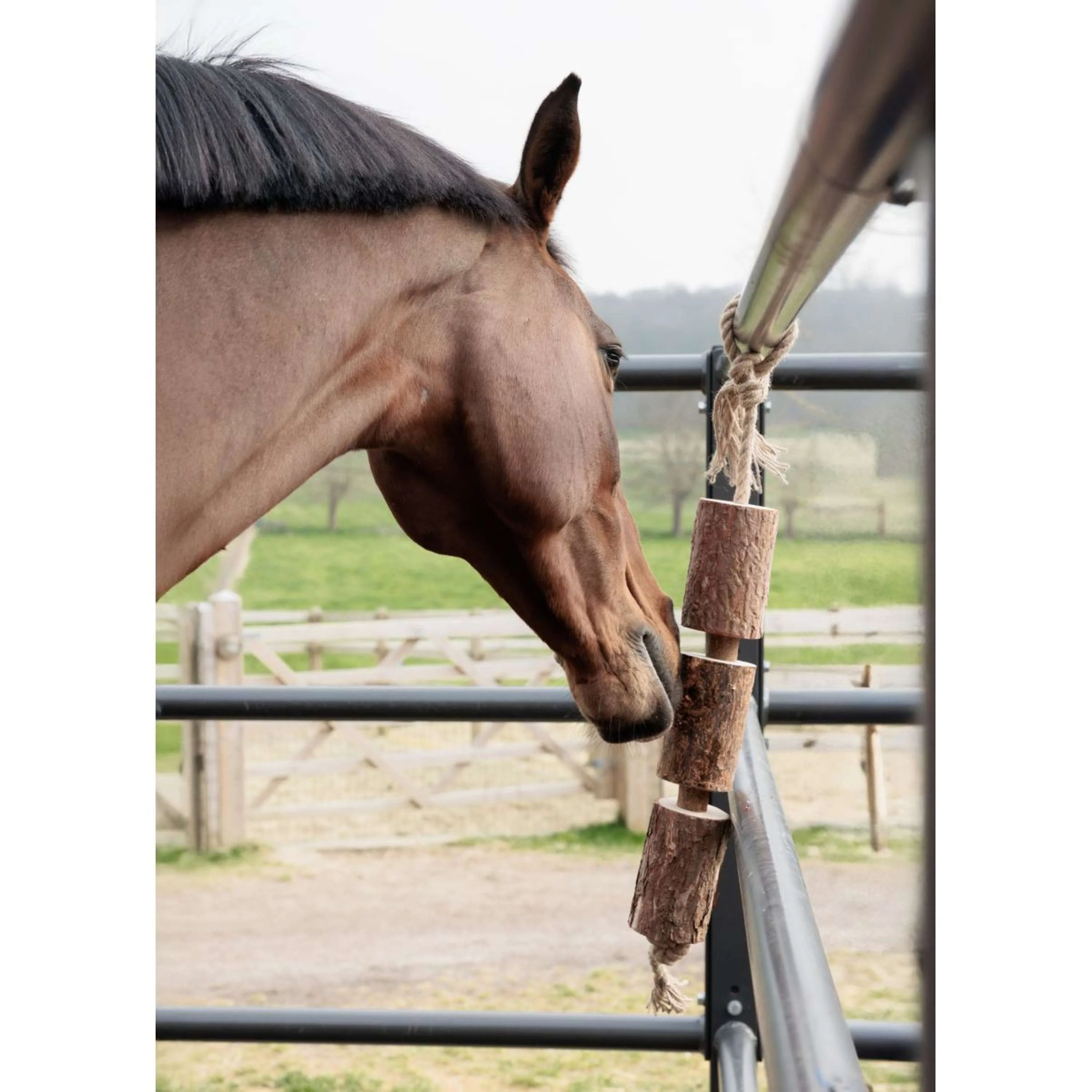 Grooming Deluxe by Kentucky Relax Horse Toy Wooden Made by Nature - Image 2