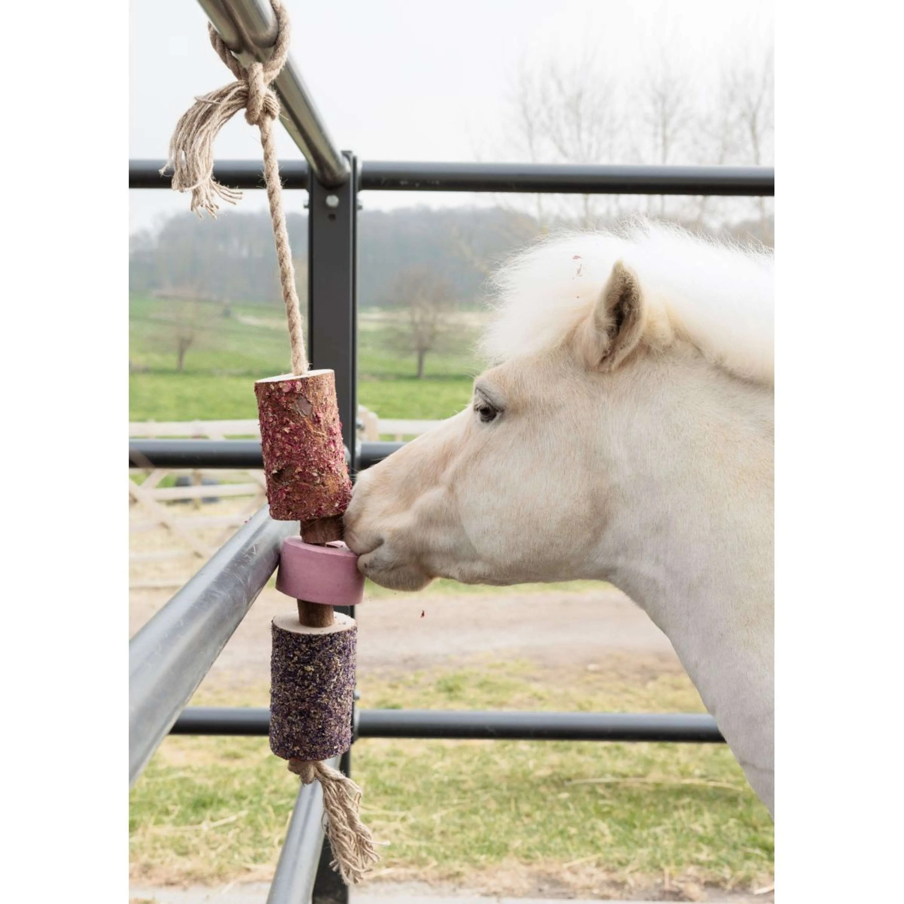 Grooming Deluxe by Kentucky Relax Horse Toy Wooden Sammy with Salt Lick - Image 2