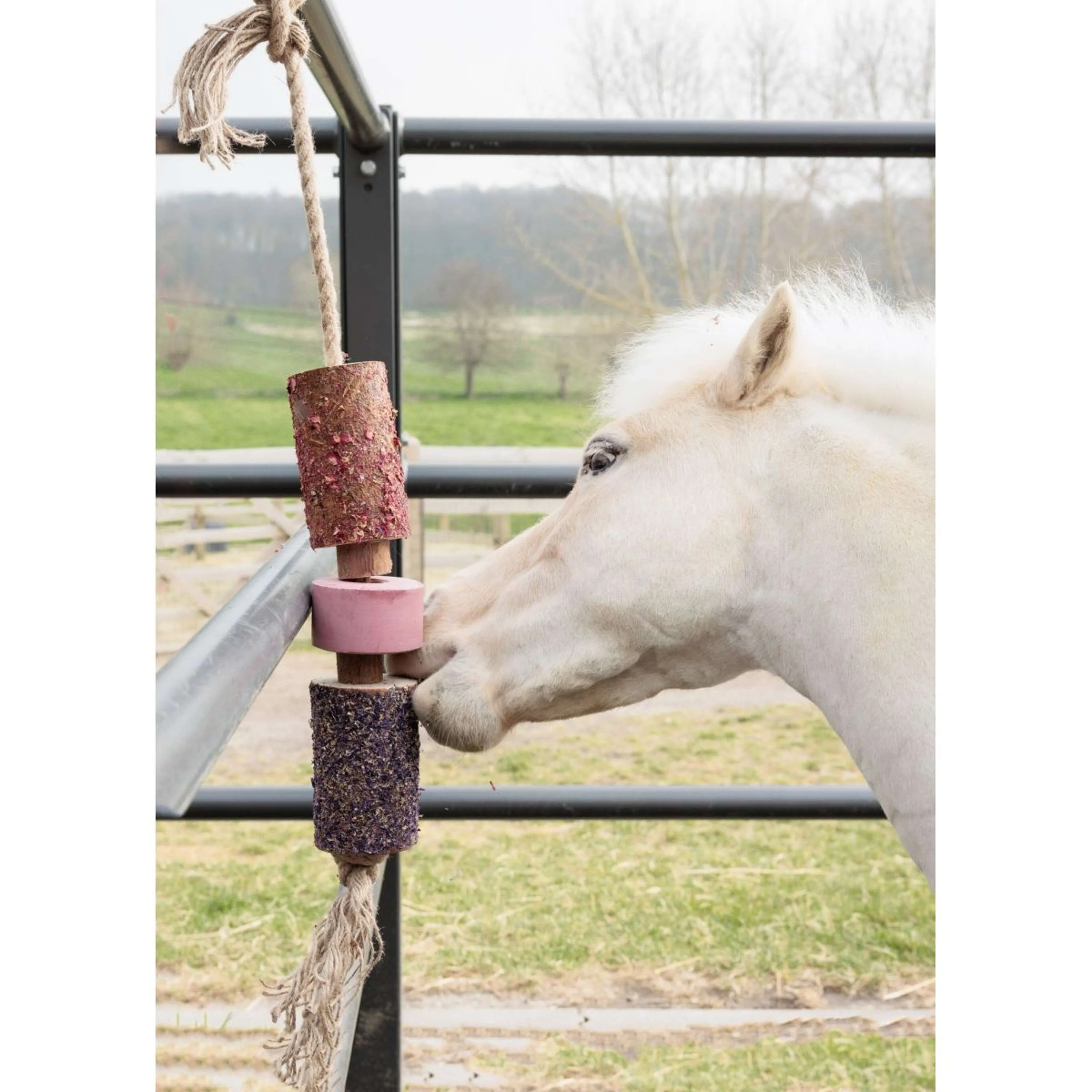 Grooming Deluxe by Kentucky Relax Horse Toy Wooden Sammy with Salt Lick - Image 3