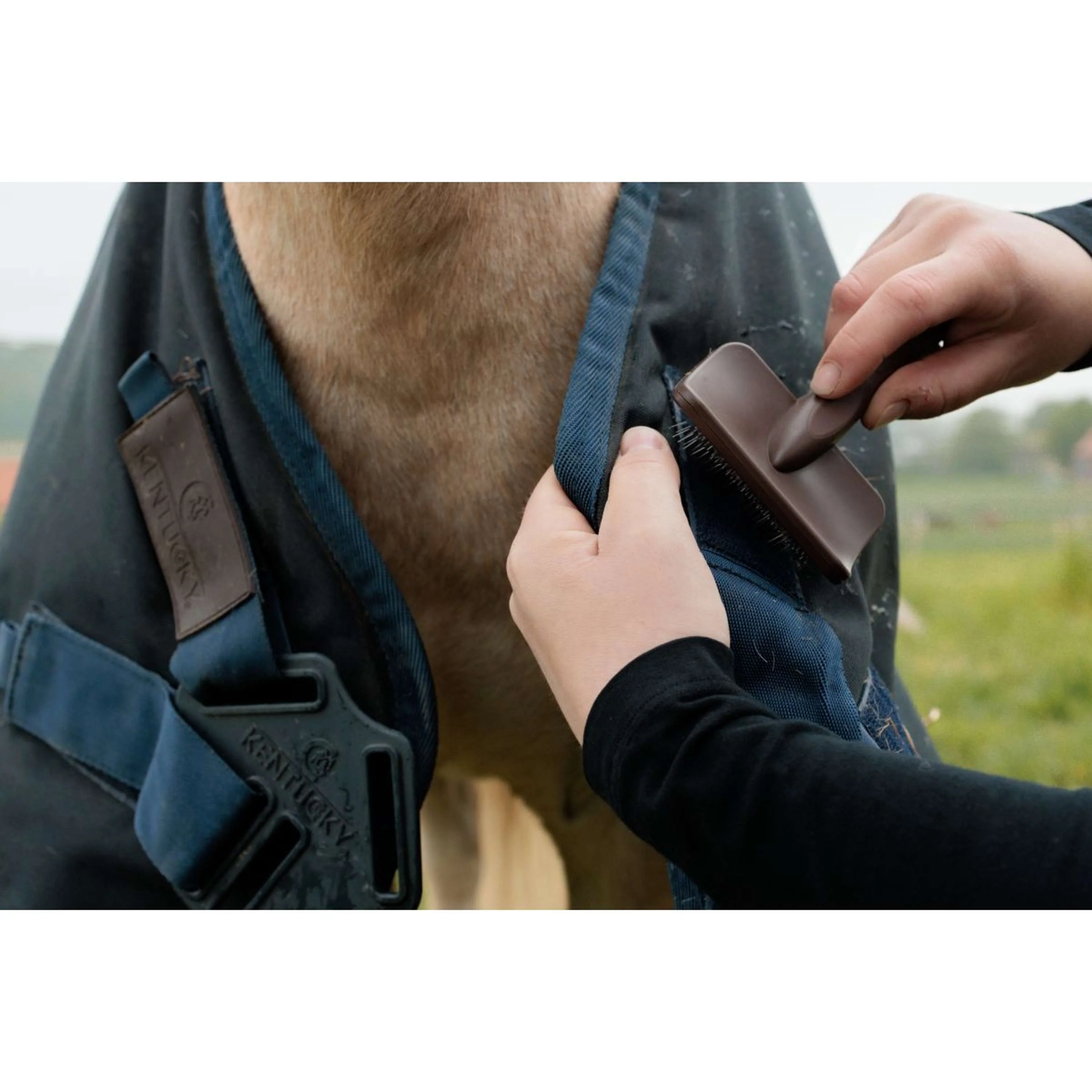 Grooming Deluxe by Kentucky Velcro Cleaning Brush Marron - Image 8
