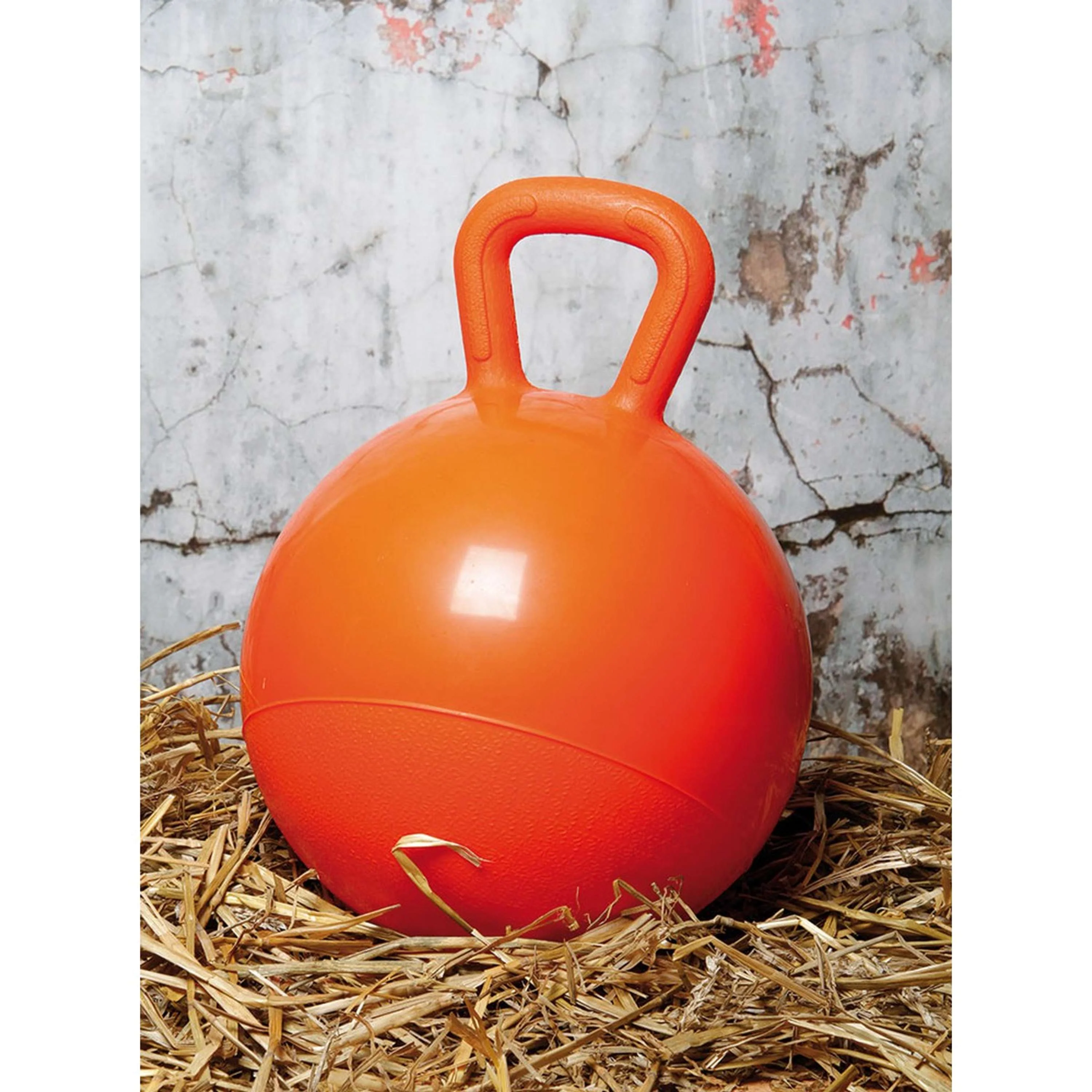 Harry's Horse Balle de Jeu Orange - Image 5