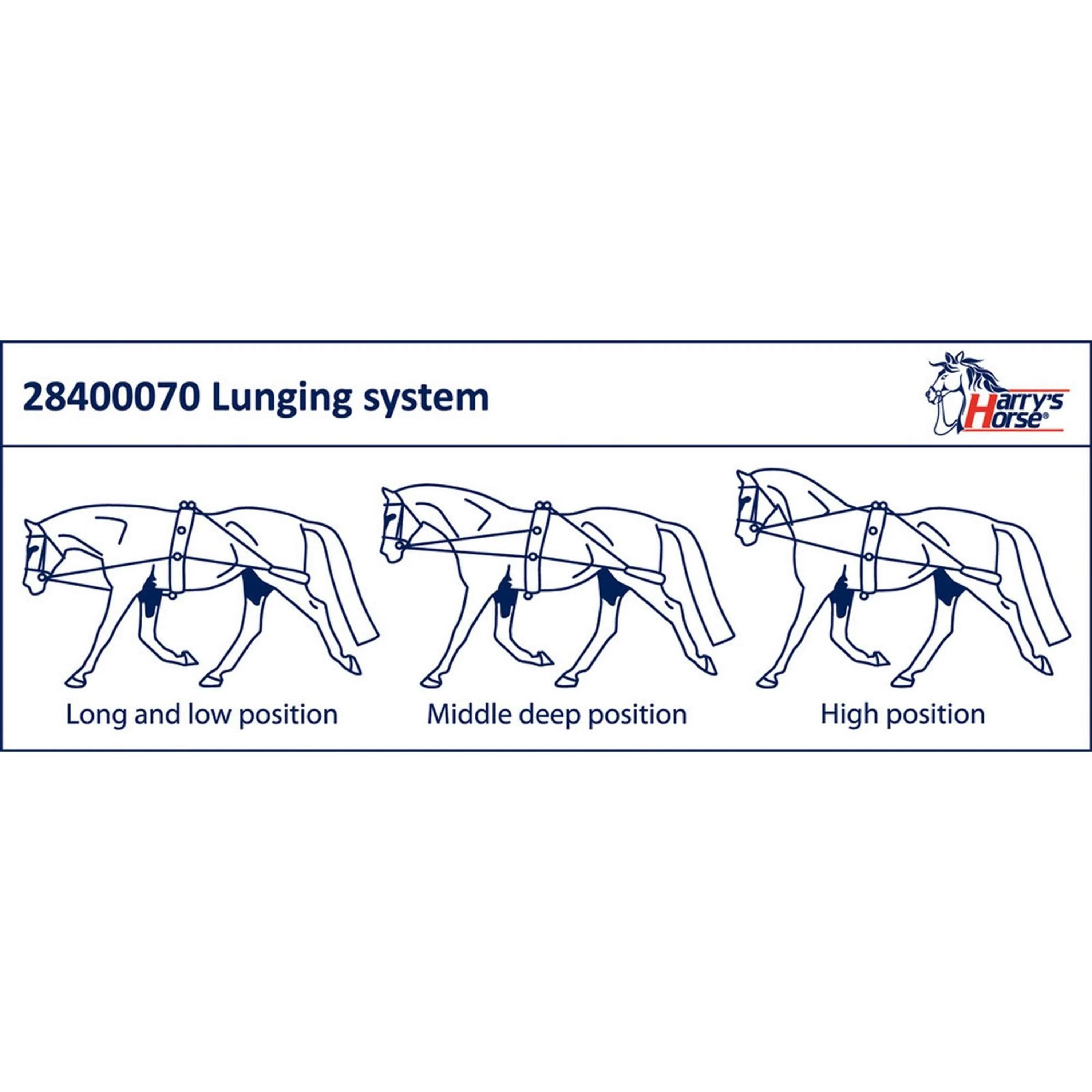 Harry's Horse Boucles pour Longe de Travail - Image 2