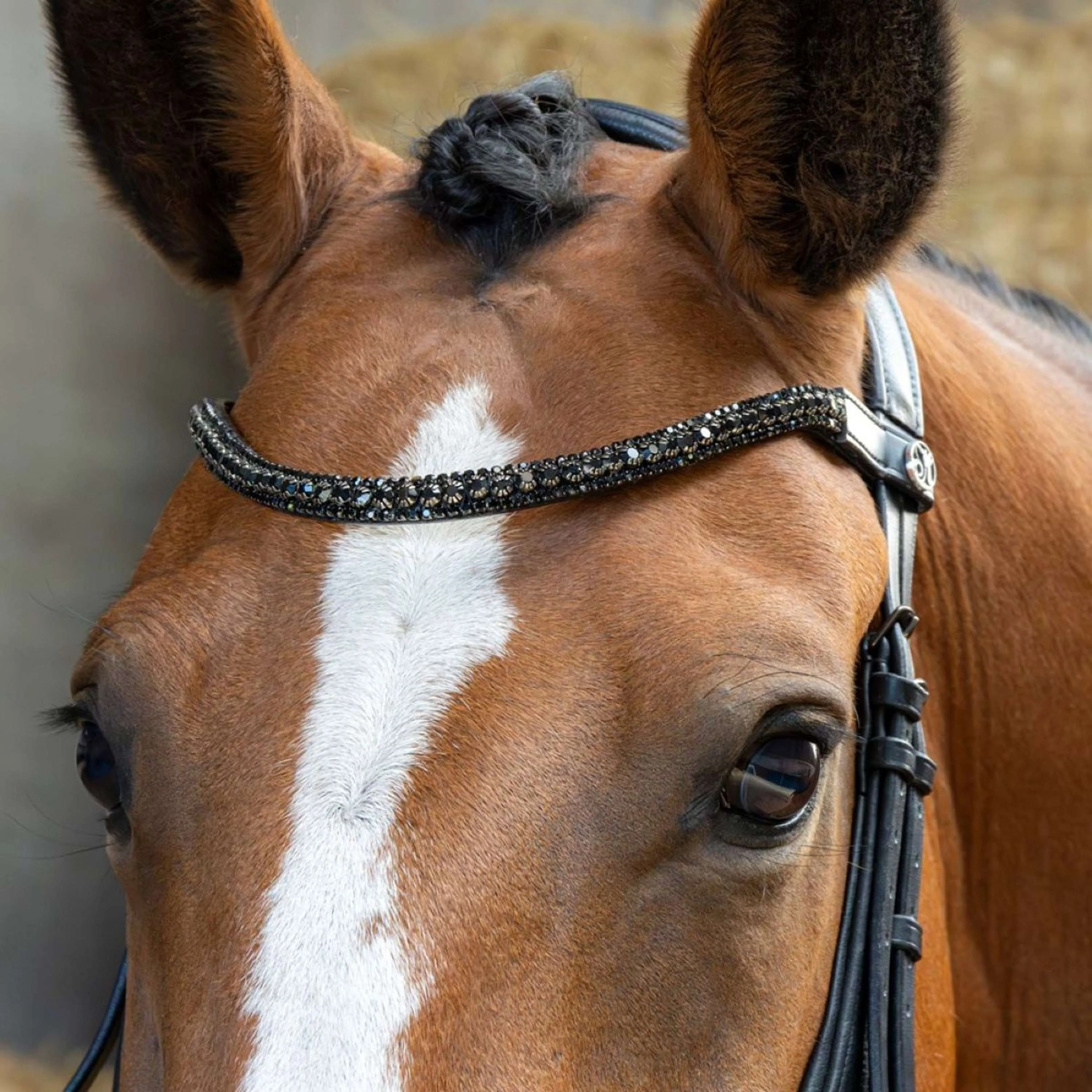 Harry's Horse Bride Anatomic Black Crystal Noir - Image 3
