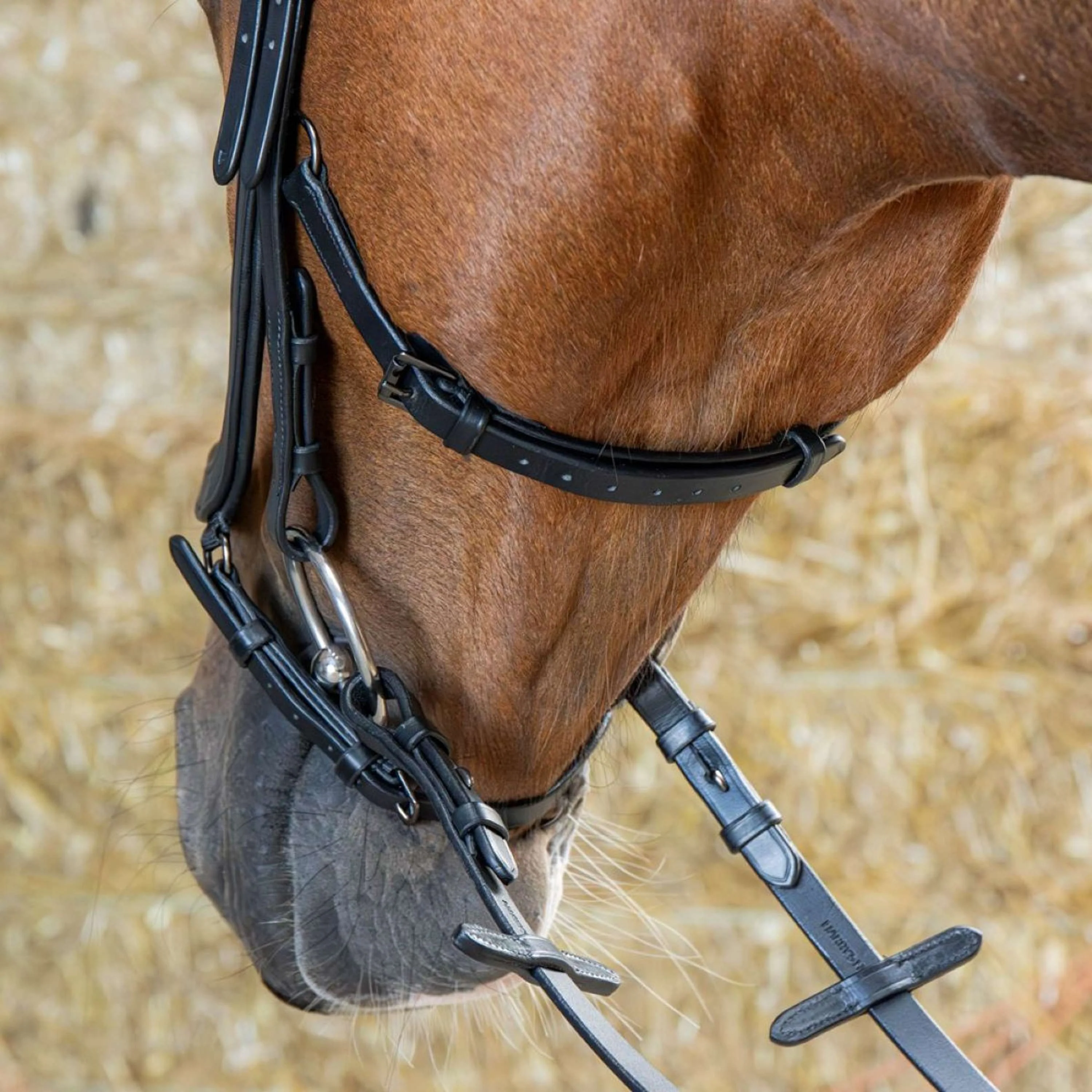 Harry's Horse Bride Anatomic Black Crystal Noir - Image 4