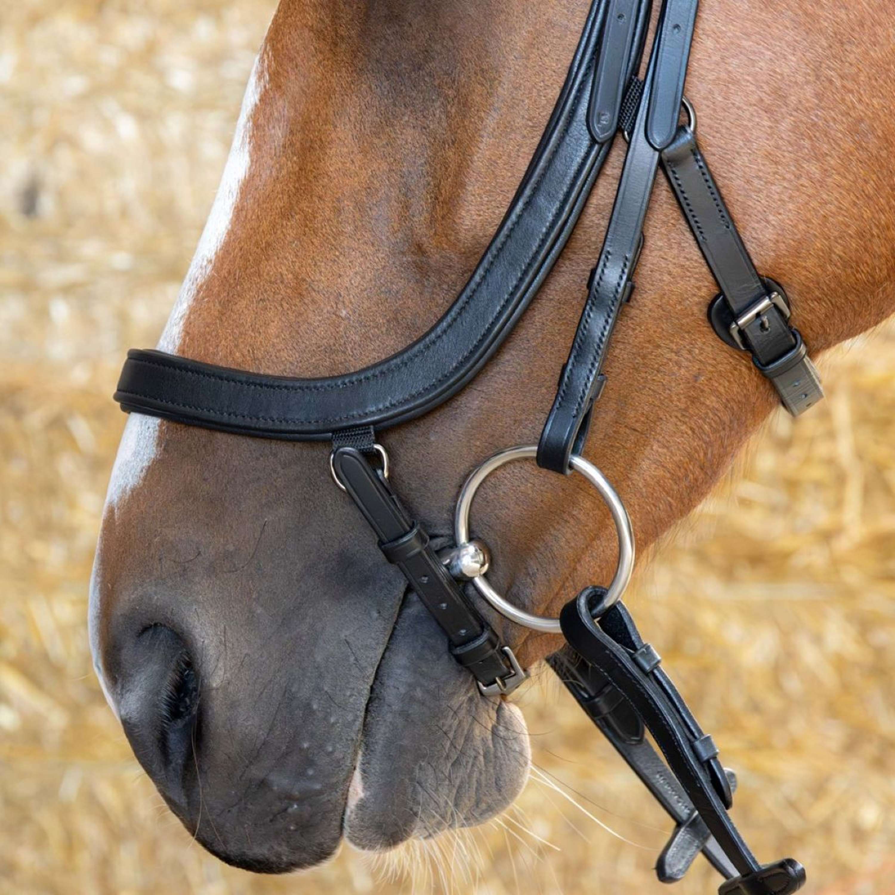 Harry's Horse Bride Anatomic Black Crystal Noir - Image 5