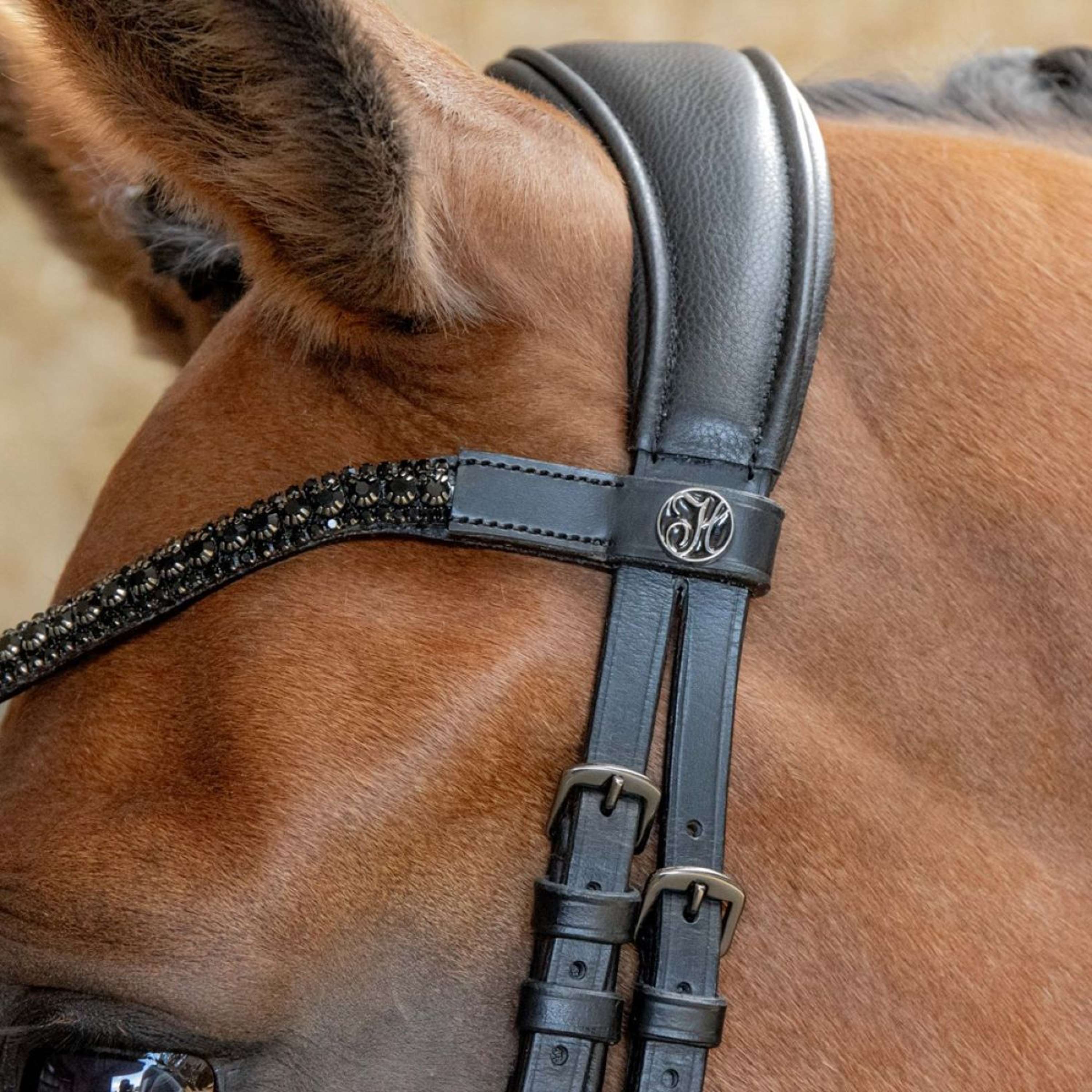 Harry's Horse Bride Anatomic Black Crystal Noir - Image 6