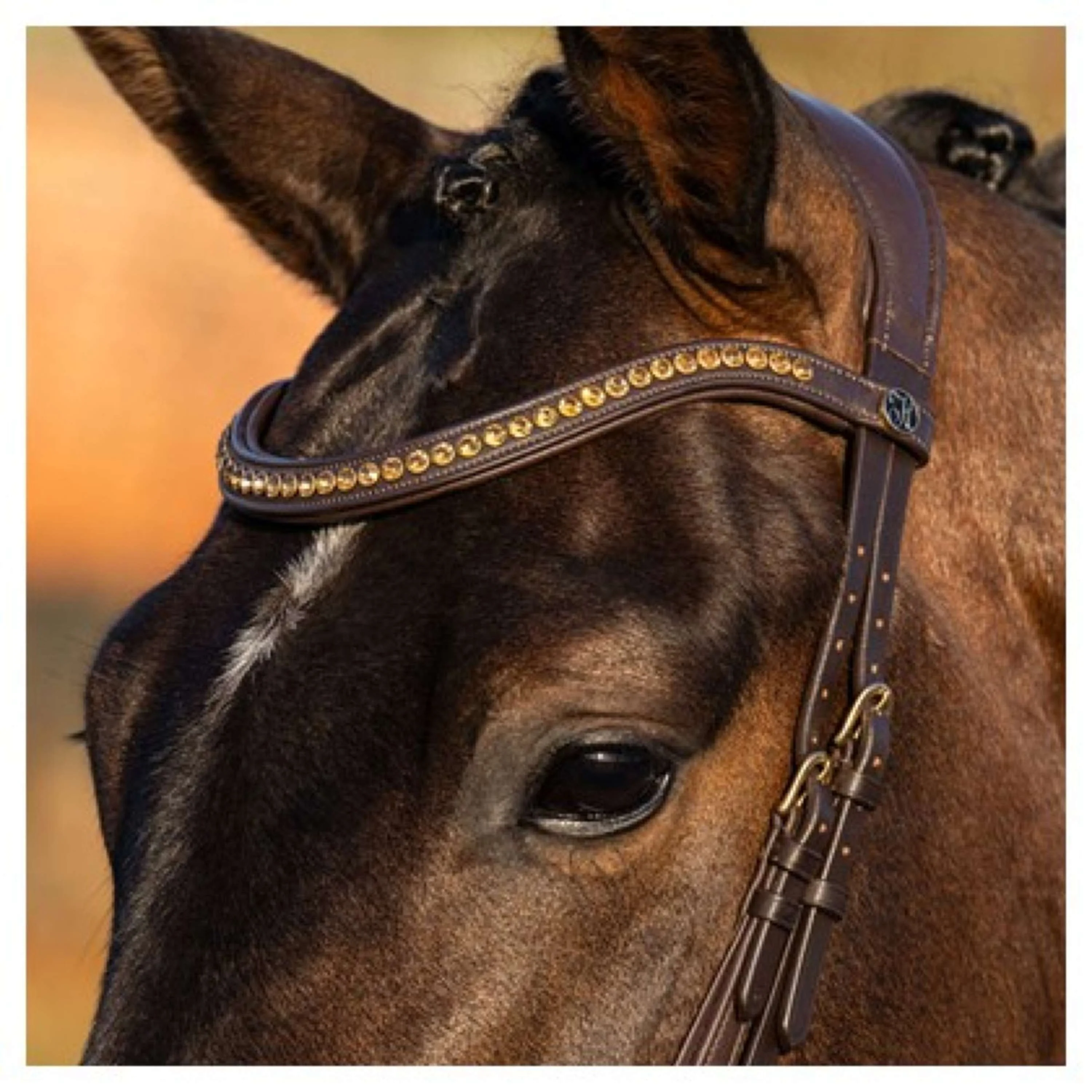 Harry's Horse Bride Anatomic Gold Marron - Image 4
