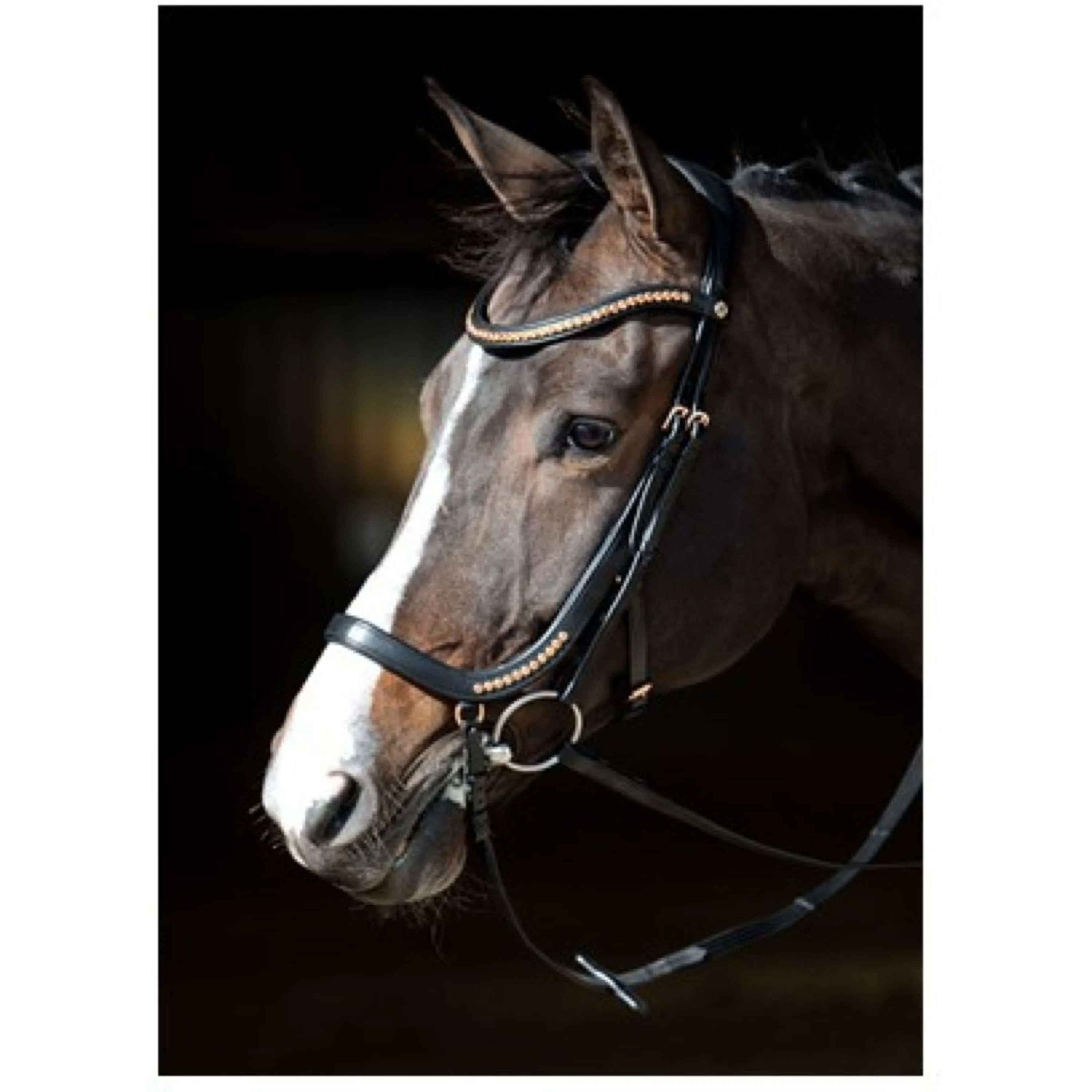 Harry's Horse Bride Anatomique Noir - Image 4