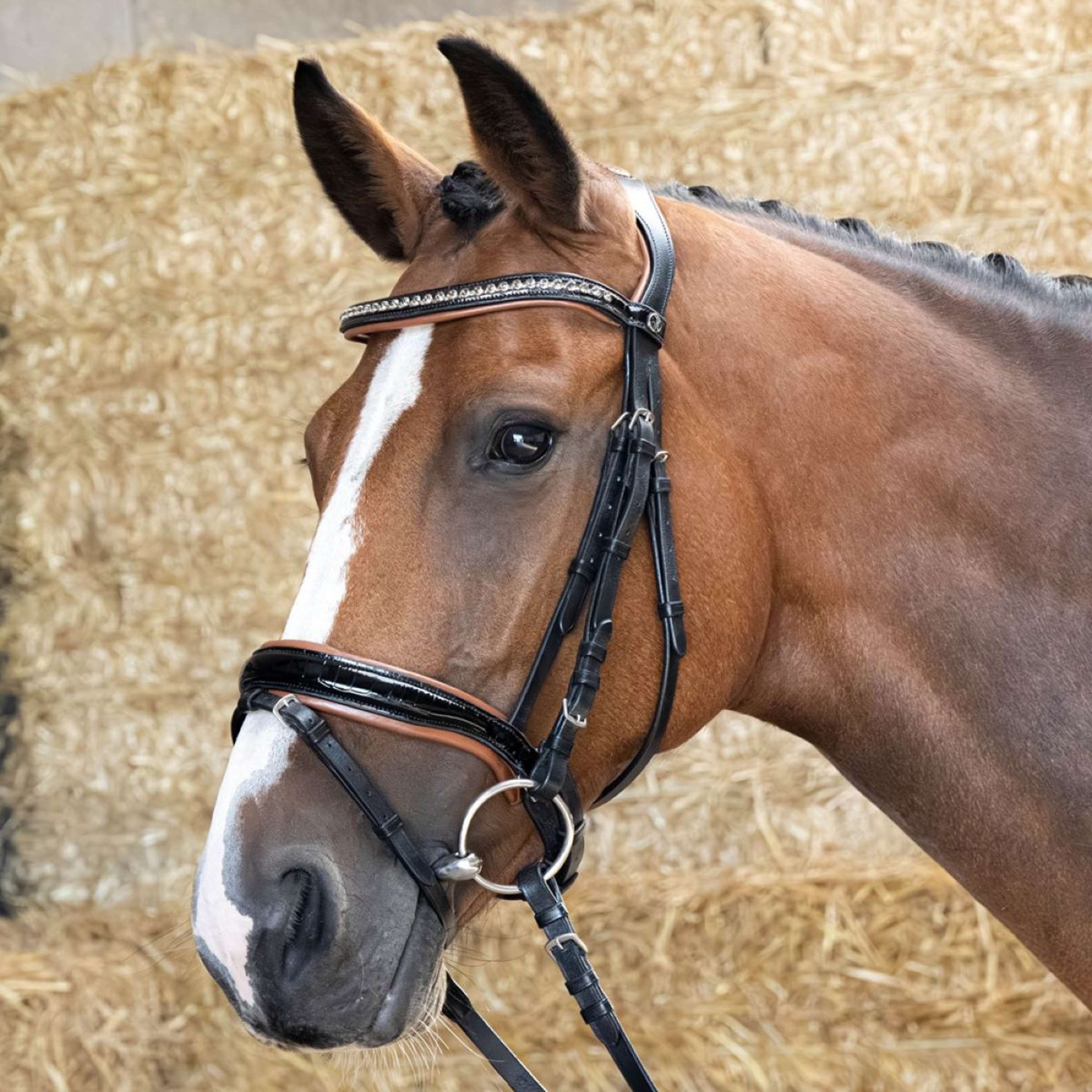 Harry's Horse Bride Black Cognac Noir - Image 2