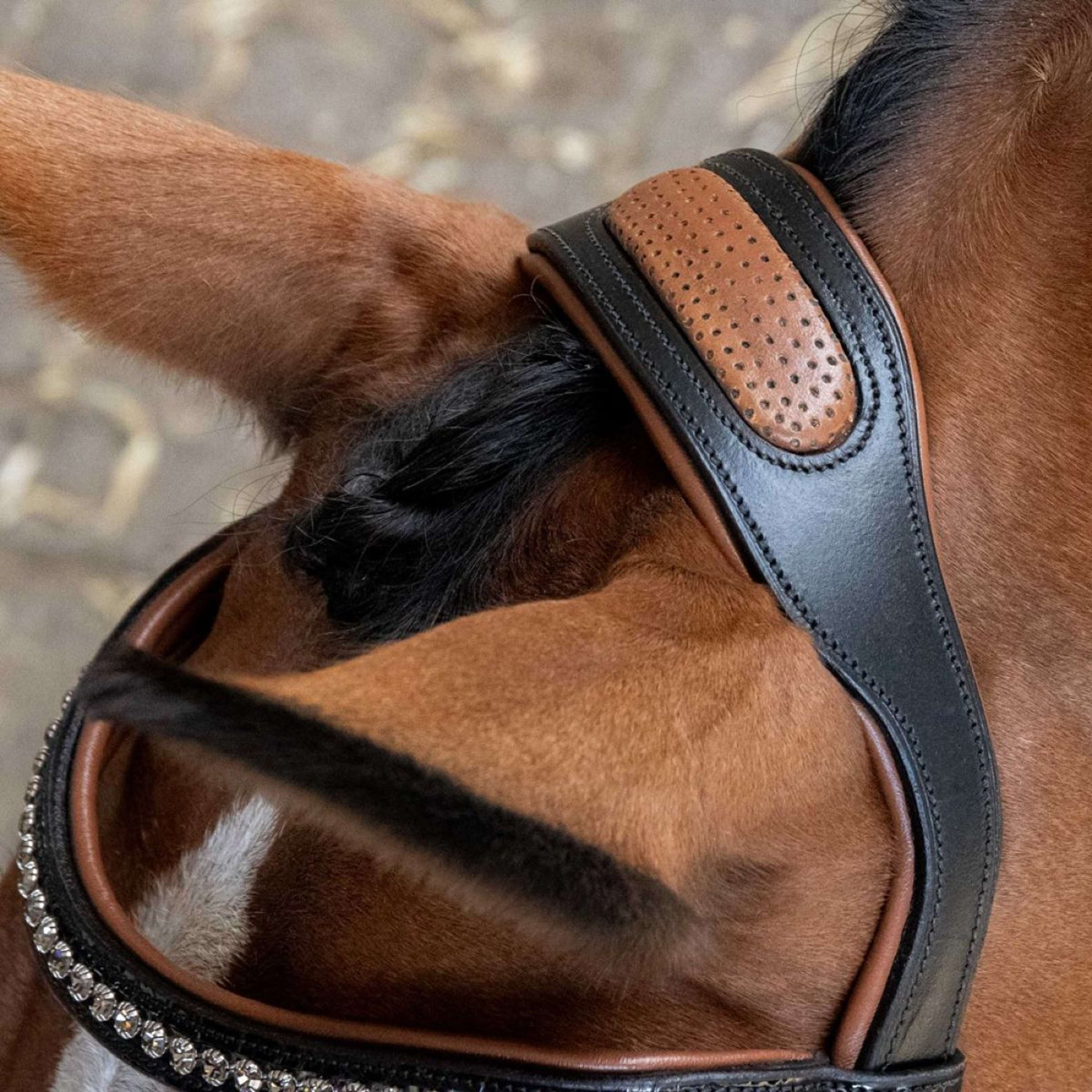 Harry's Horse Bride Black Cognac Noir - Image 7