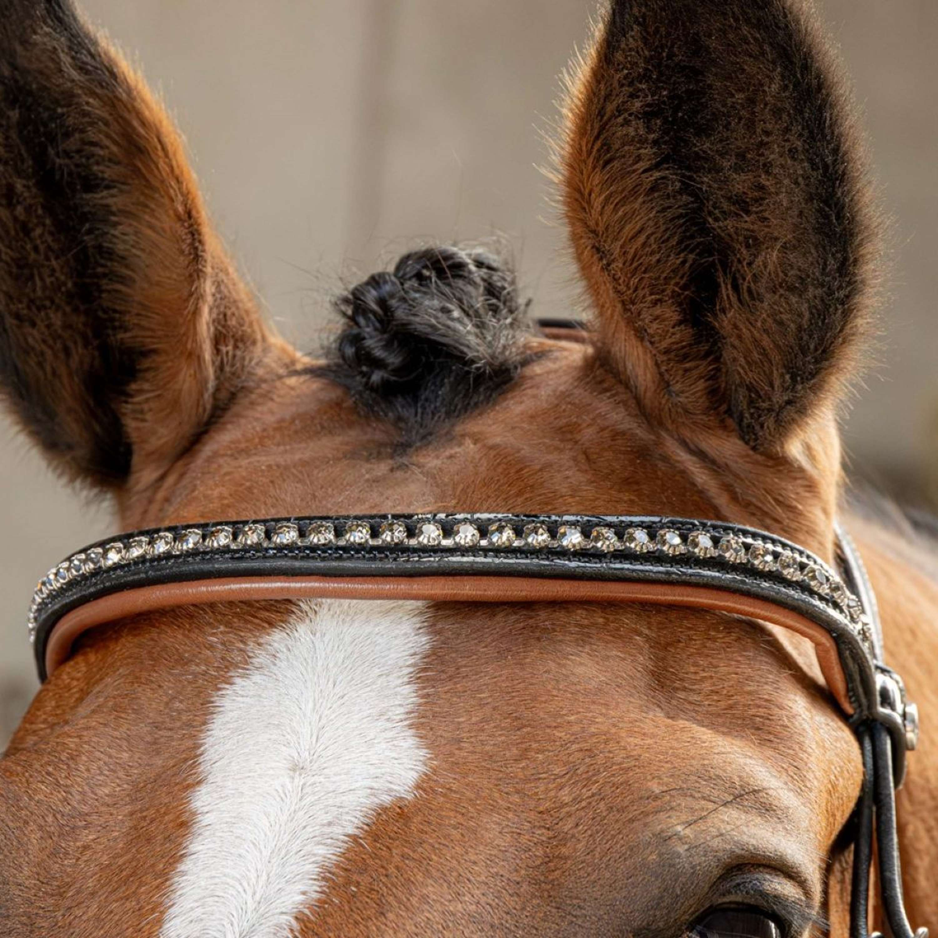 Harry's Horse Bride Black Cognac Noir - Image 8