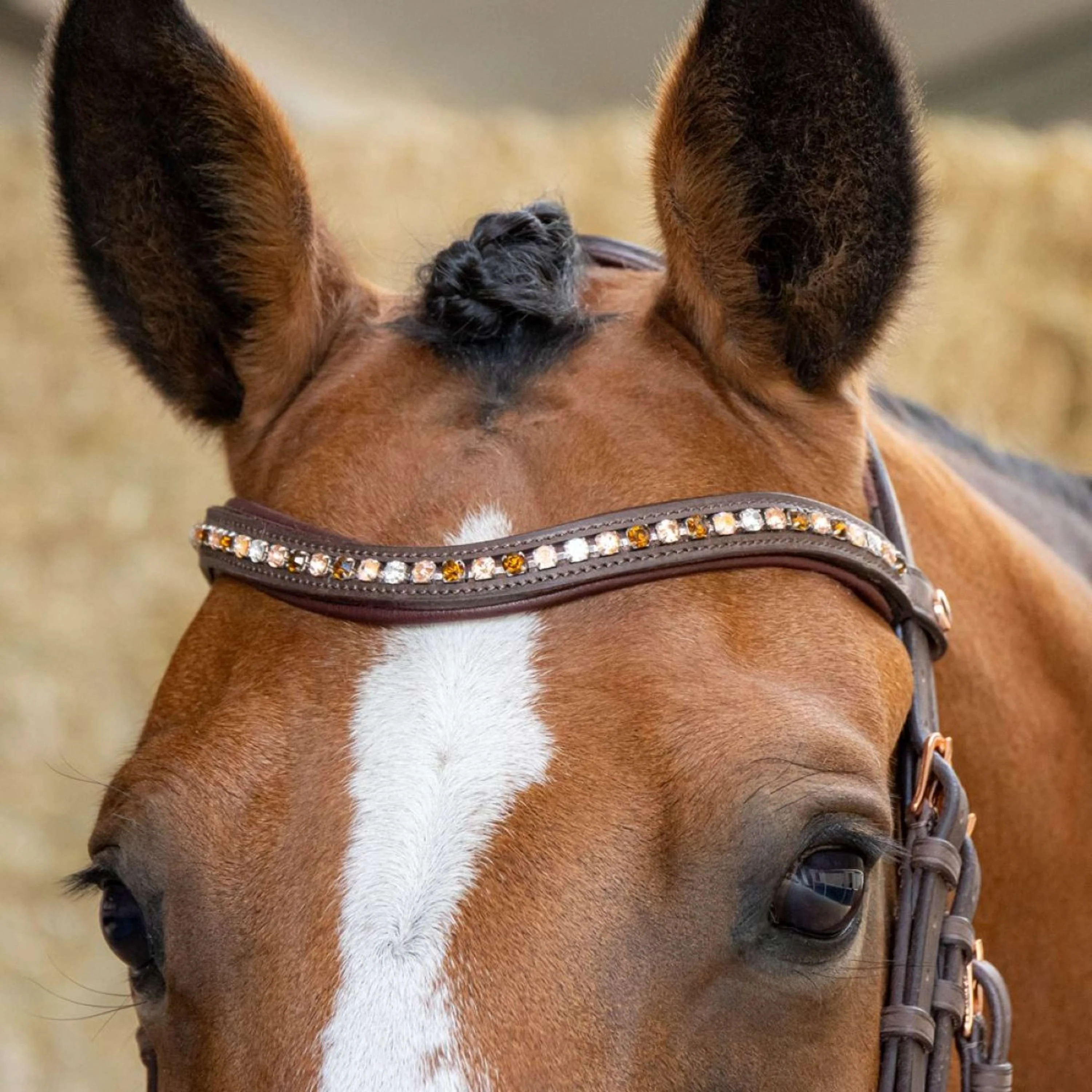 Harry's Horse Bride Bombastic Crystals Marron - Image 4
