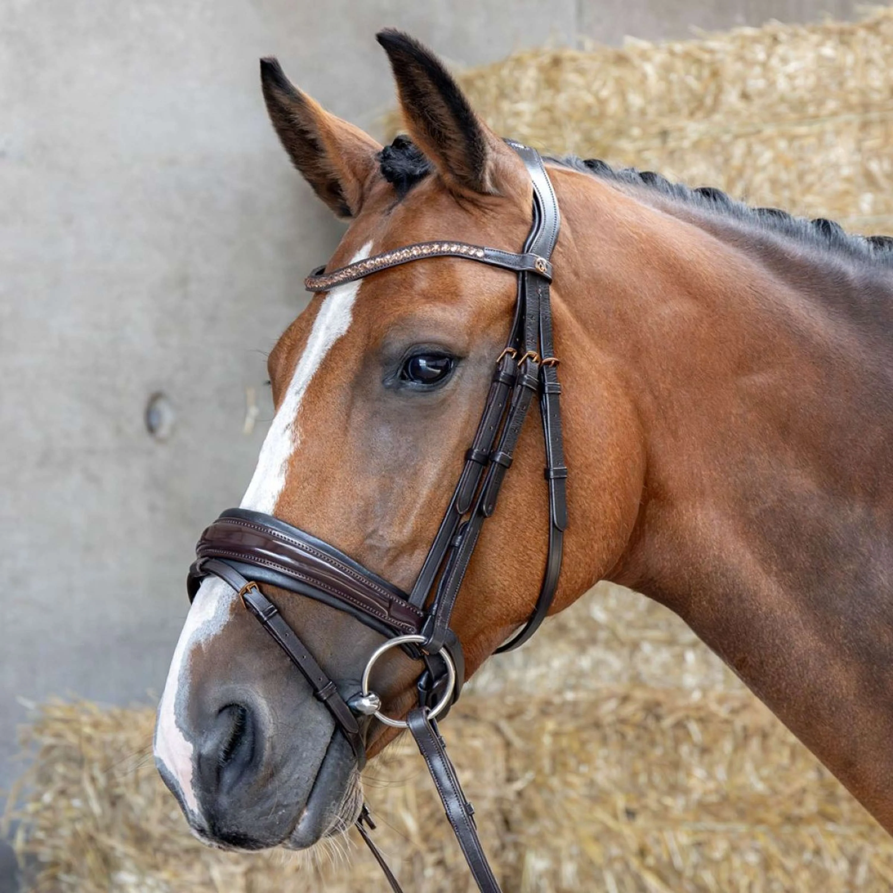 Harry's Horse Bride Copper Marron - Image 2