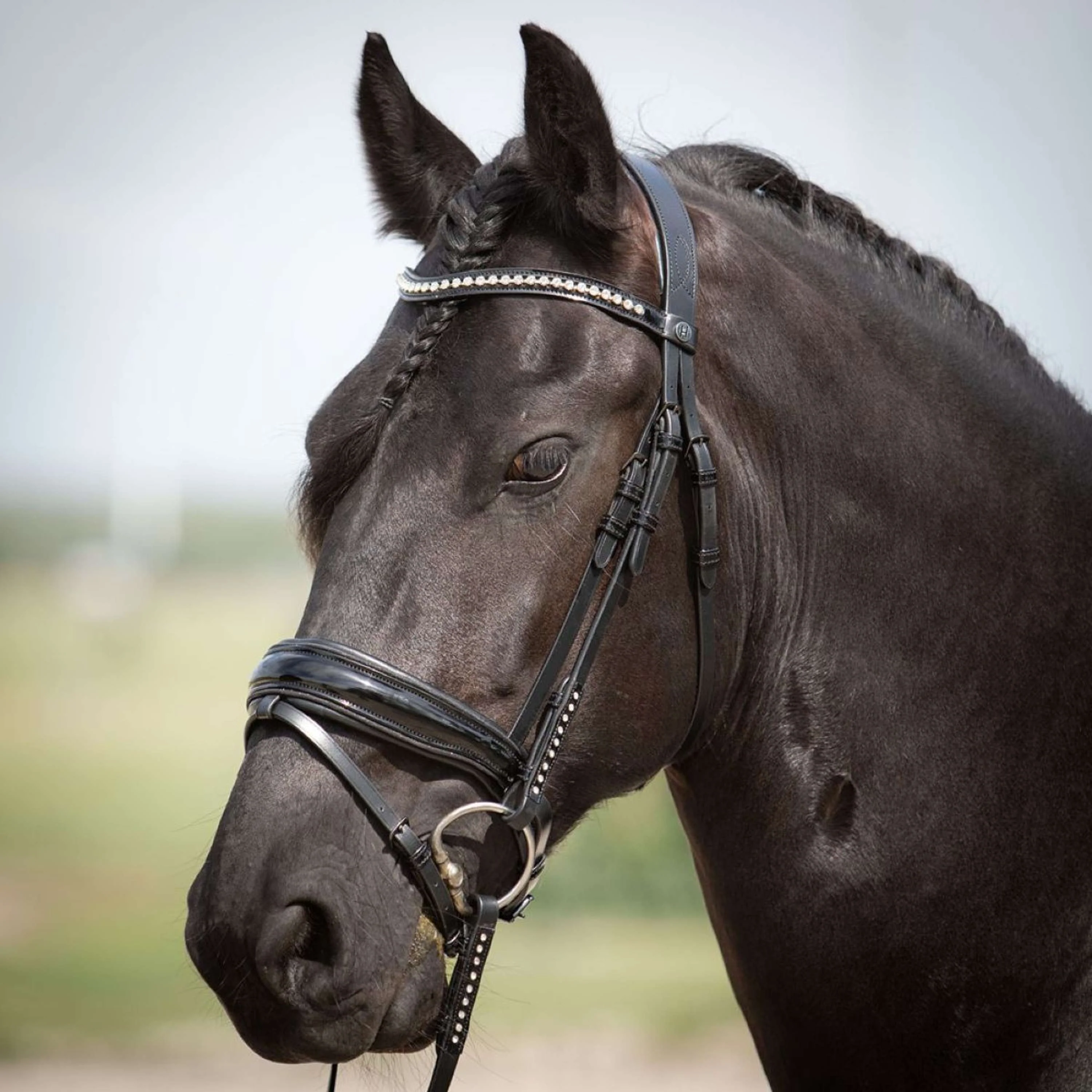 Harry's Horse Bride Diamond Lacque Noir - Image 3