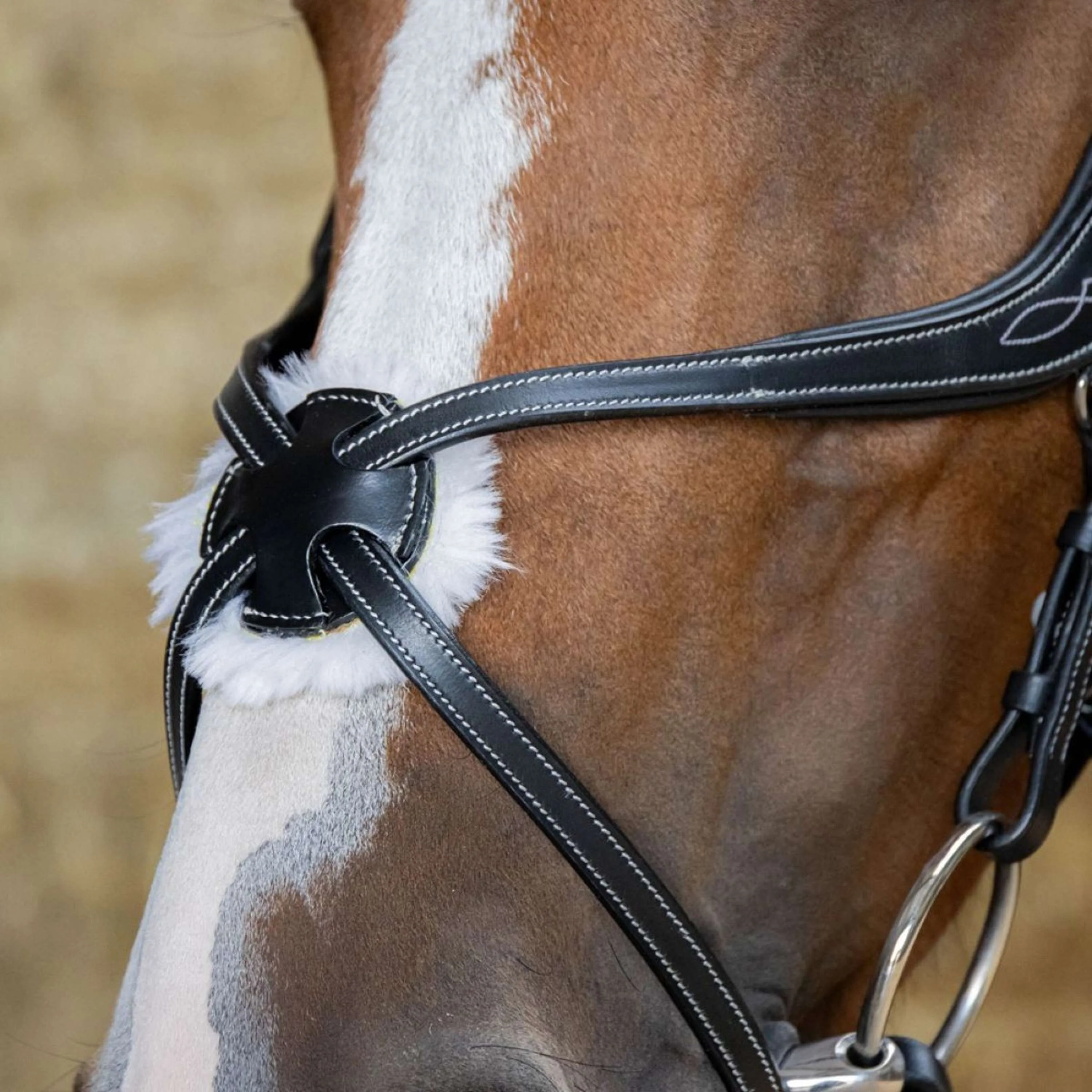 Harry's Horse Bride Mexicaine Anatomic Noir - Image 3