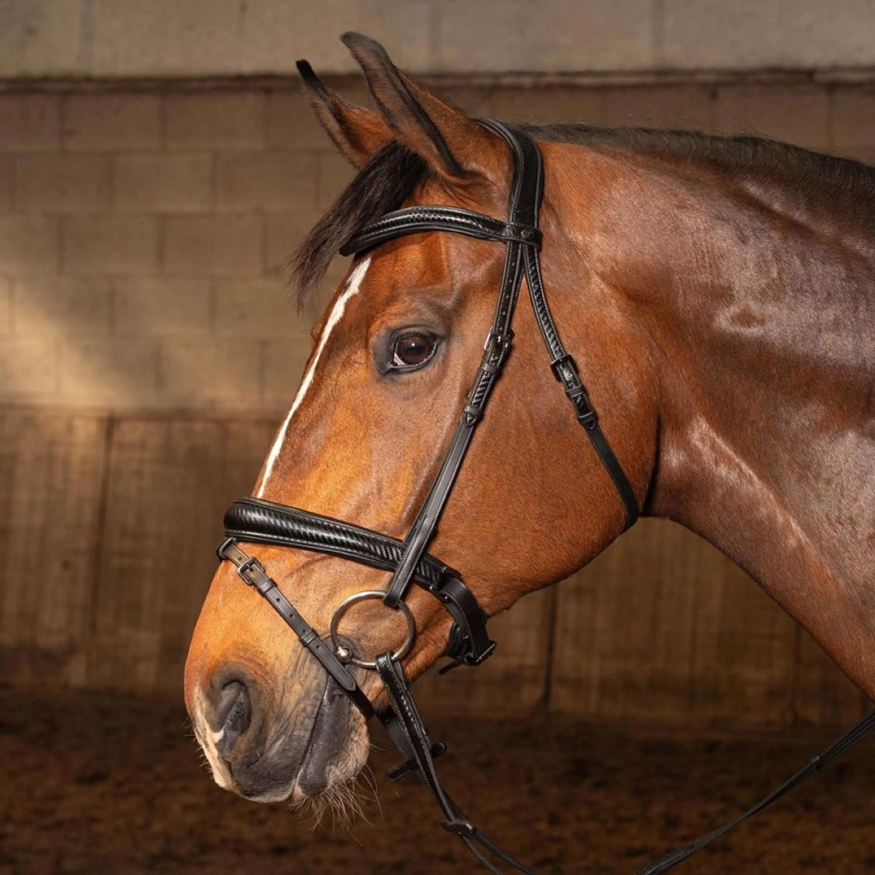 Harry's Horse Bride Soft Carbon Black Edition Noir - Image 2
